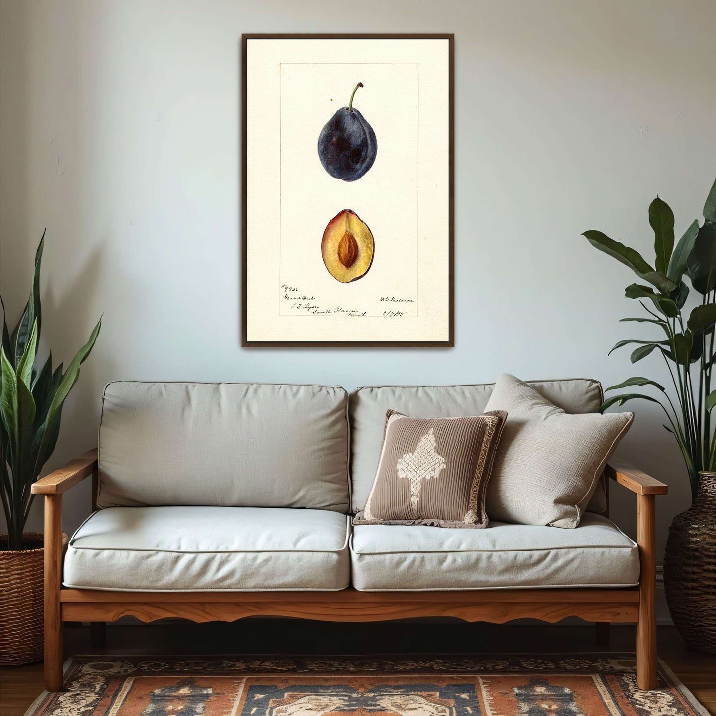Plum watercolor painting by Deborah Griscom Passmore