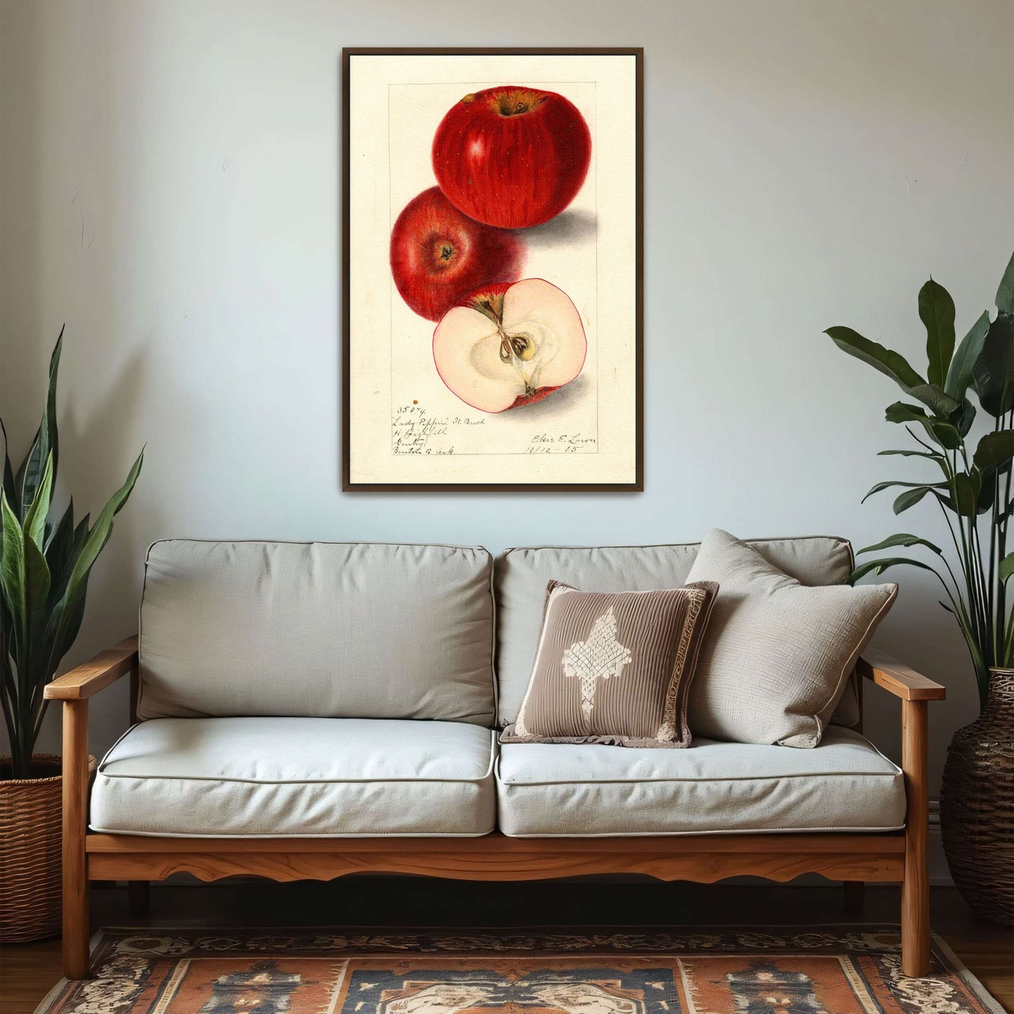 Three red apples, watercolor painting by Elsie E. Lower