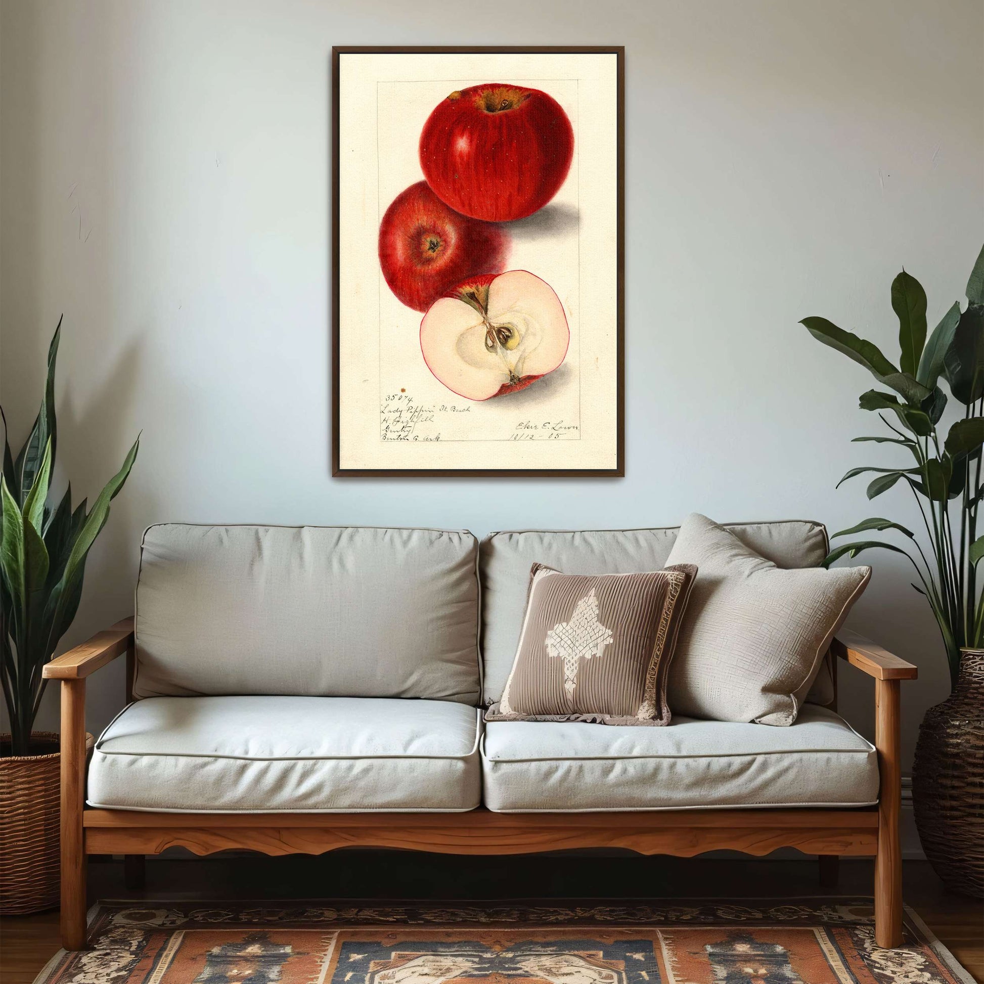 Three red apples, watercolor painting by Elsie E. Lower