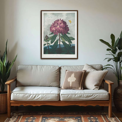 Pink Rhododendron with Insects by Robert John Thornton