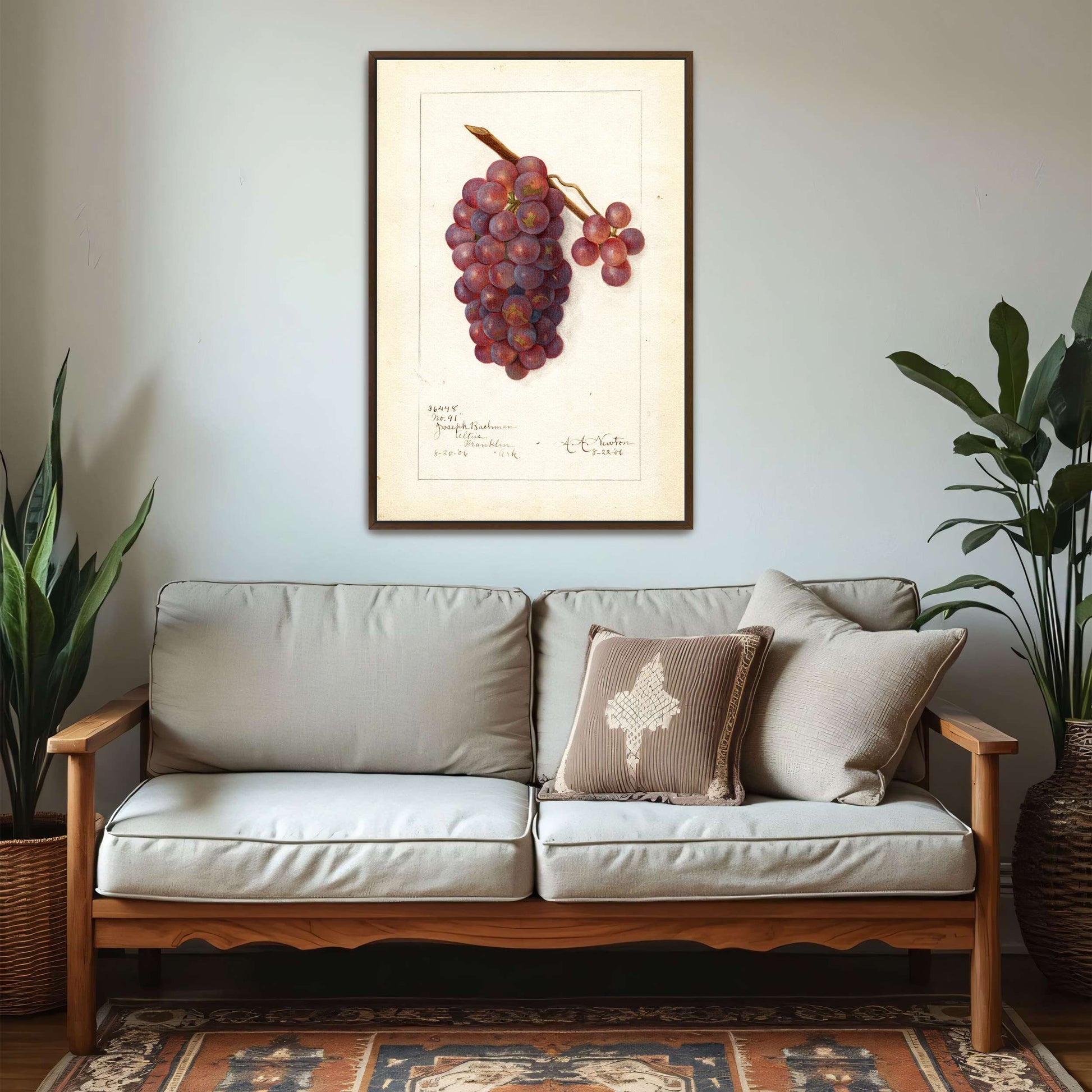 Watercolor painting of grapes by Amanda Almira Newton