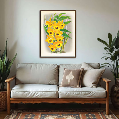 Yellow orchid botanical illustration by Jean Jules Linden