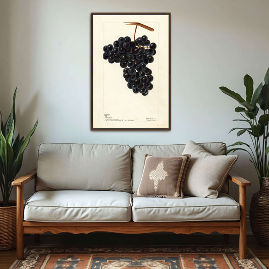 Dark Grapes on Vine by Deborah Griscom Passmore