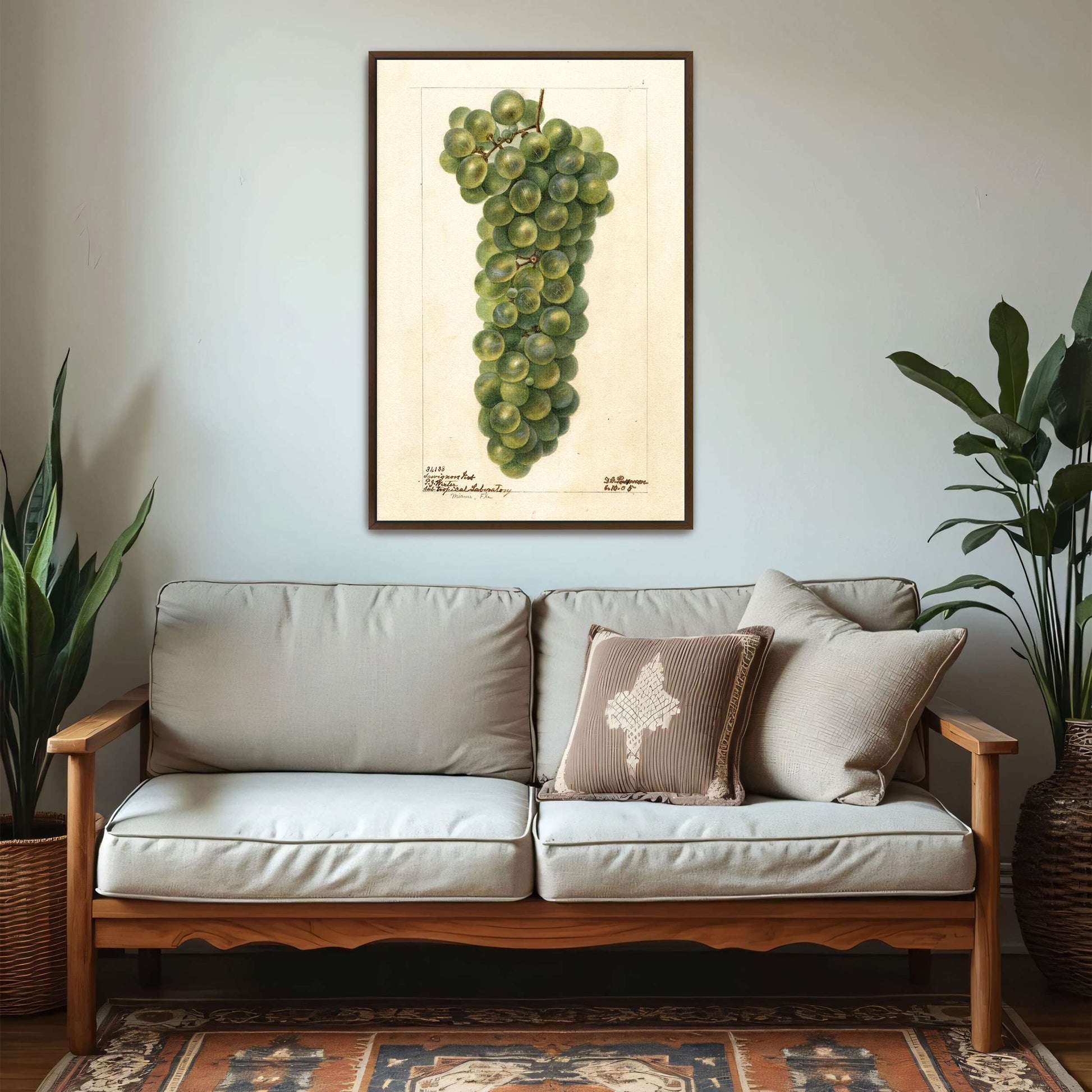 Green grape cluster watercolor by Deborah Griscom Passmore