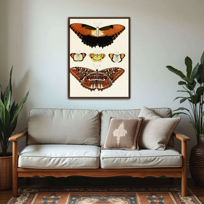 Five butterflies on white background by Pieter Cramer