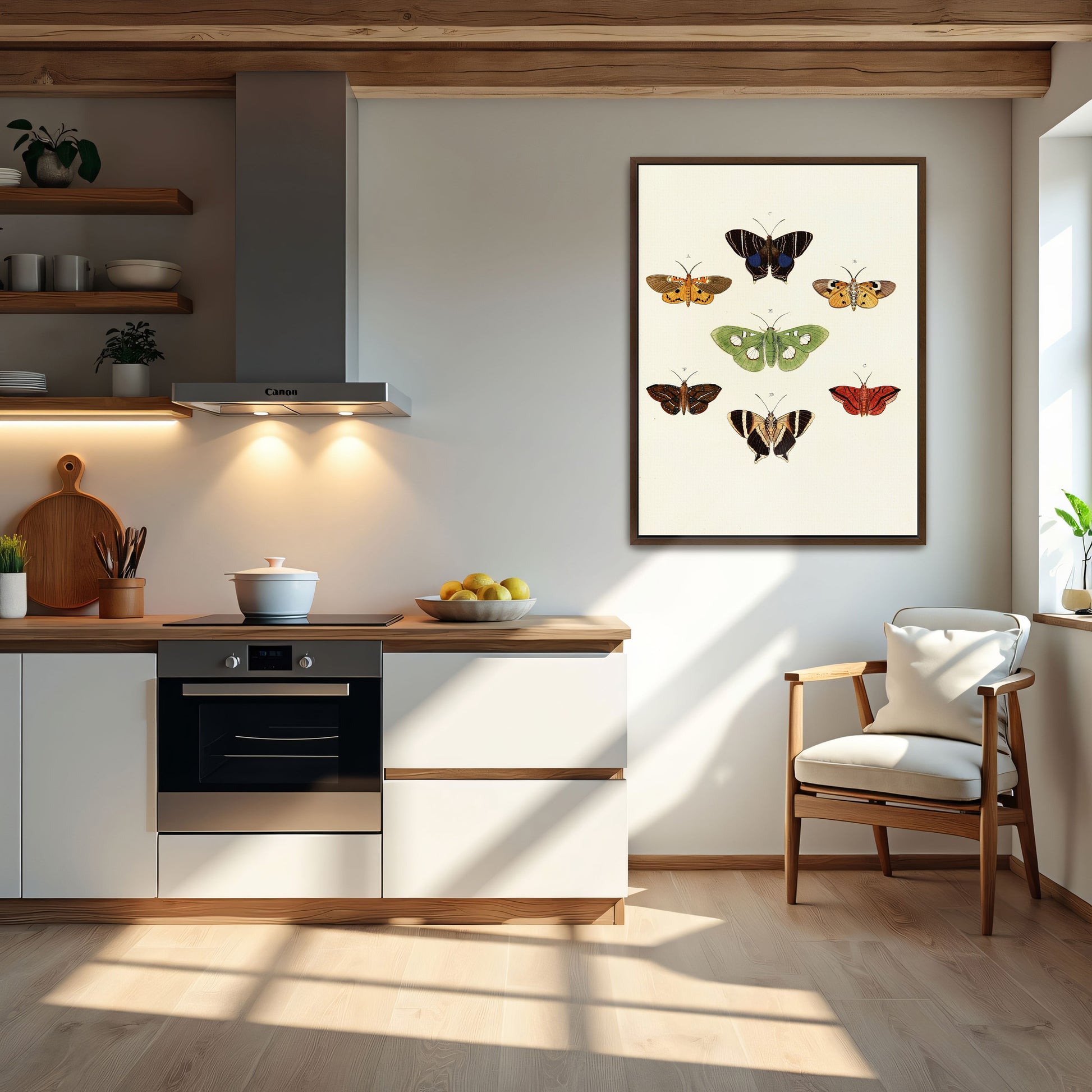 Exotic Butterflies Illustration By Pieter Cramer