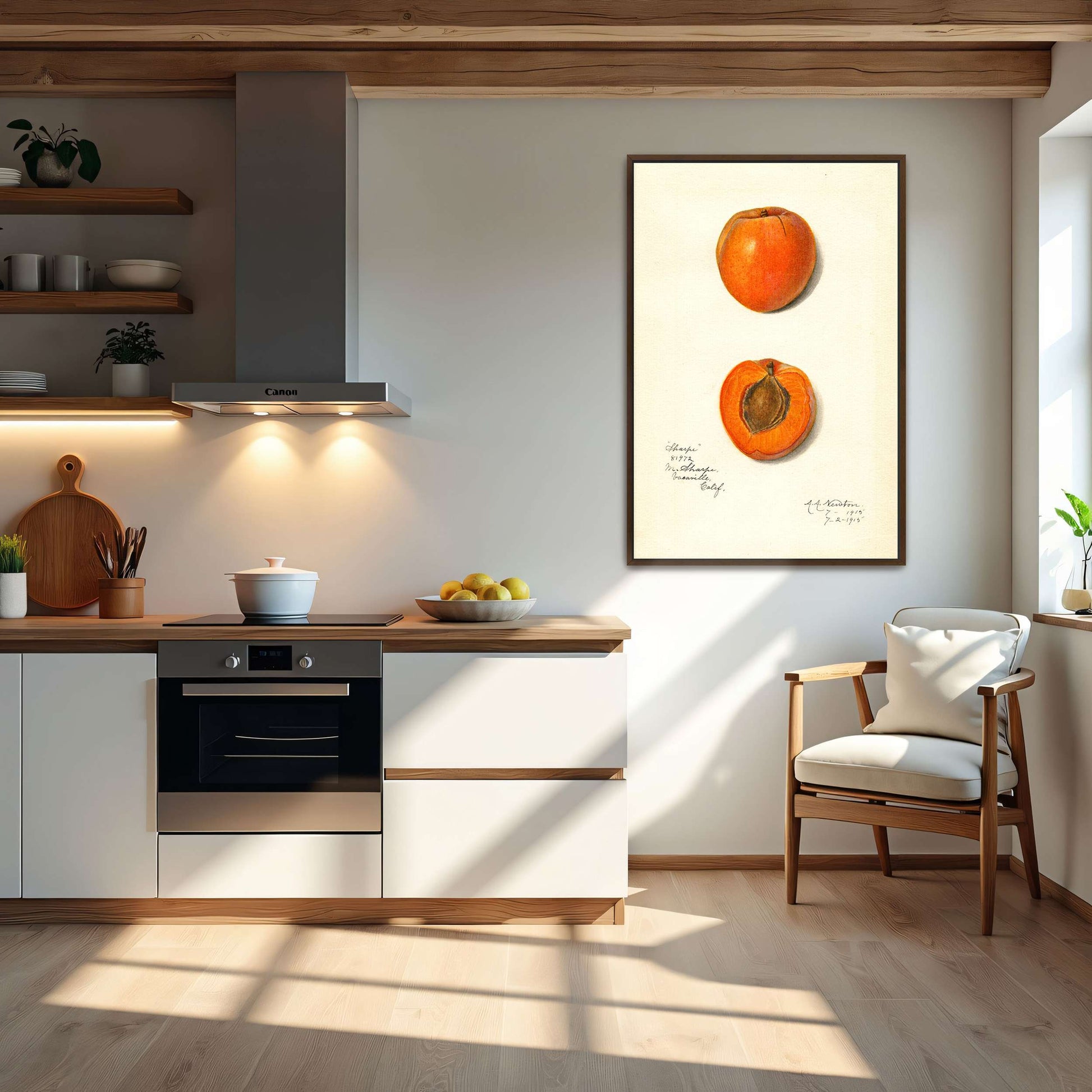 Apricot watercolor painting by Amanda Almira Newton