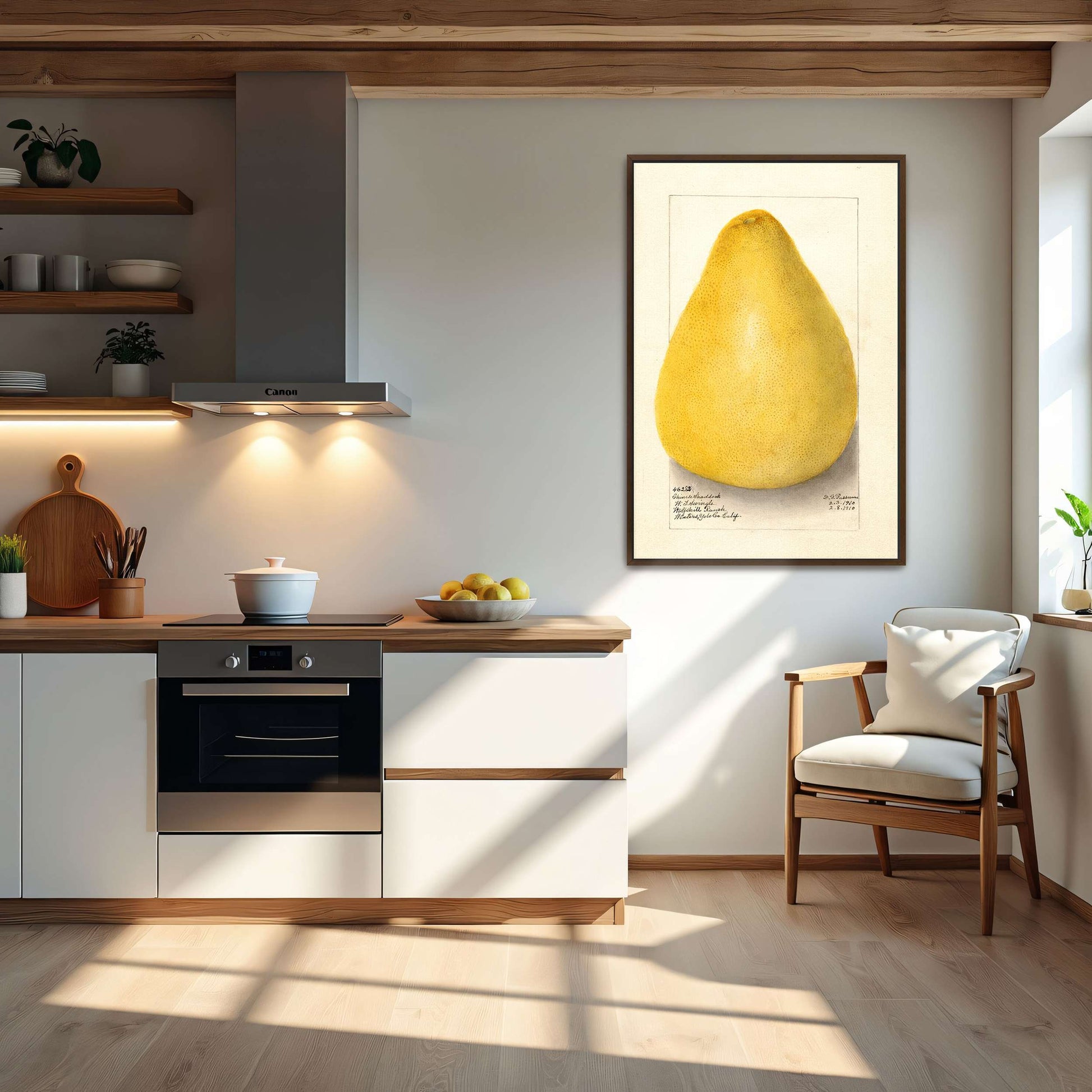 Watercolor of a pomelo by Amanda Almira Newton