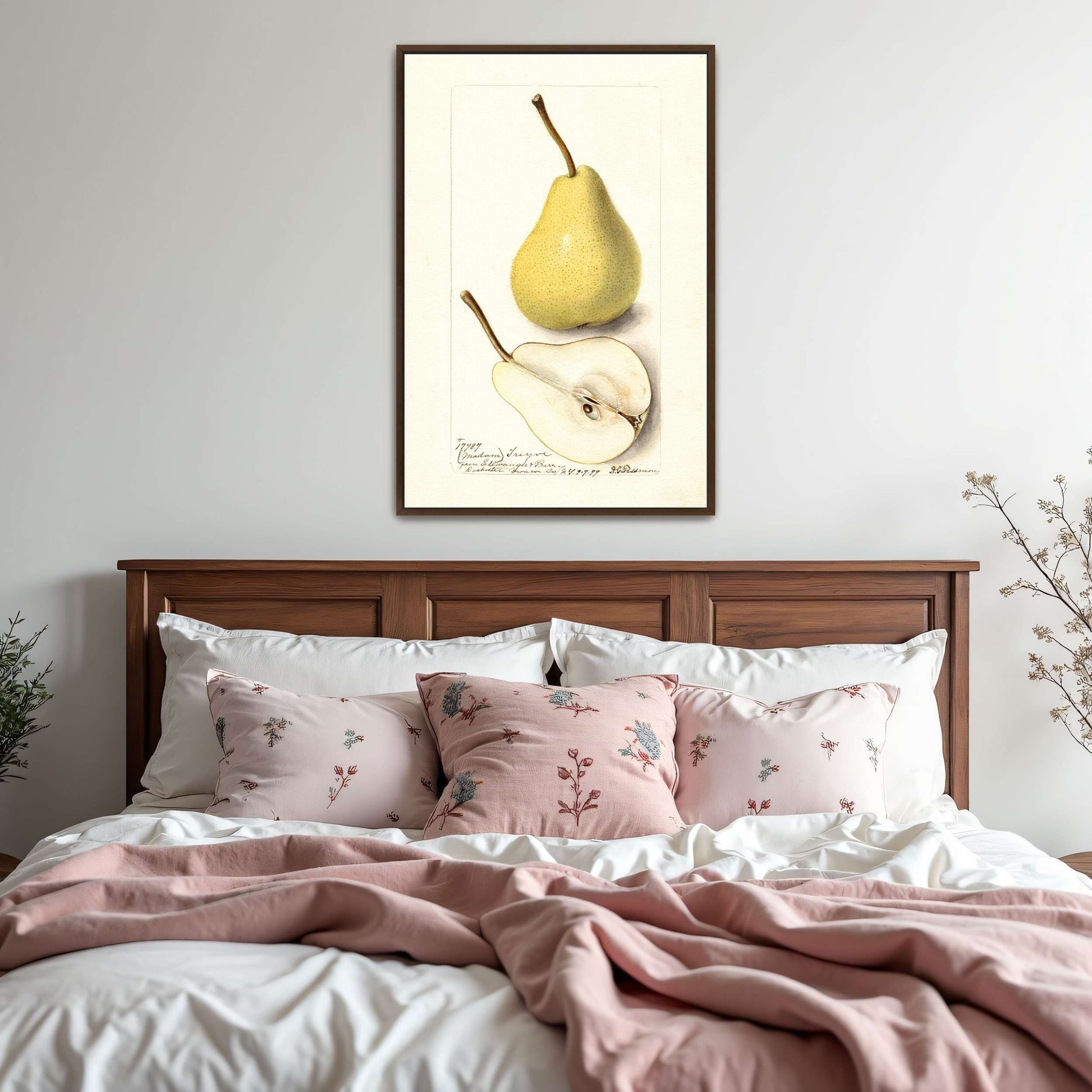 Watercolor pear painting by Deborah Griscom Passmore