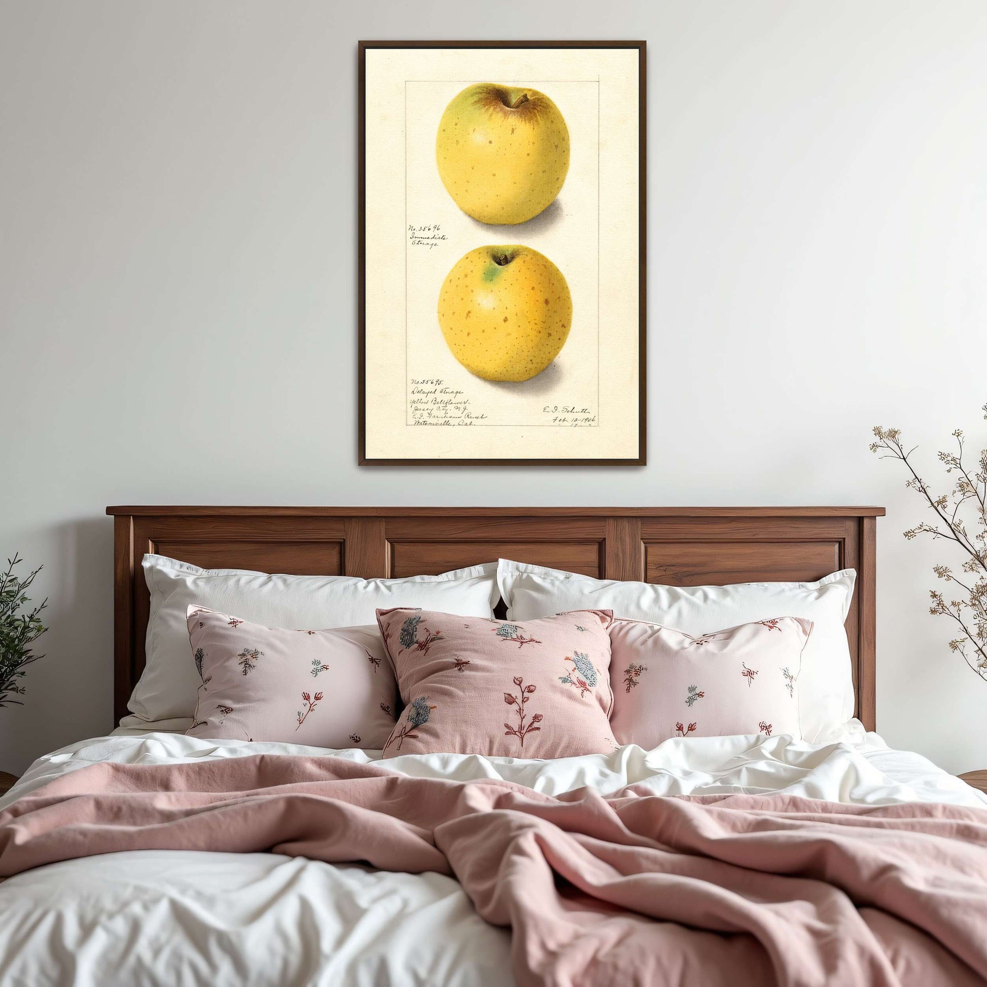 Two Yellow Apples Watercolor by Ellen Isham Schutt