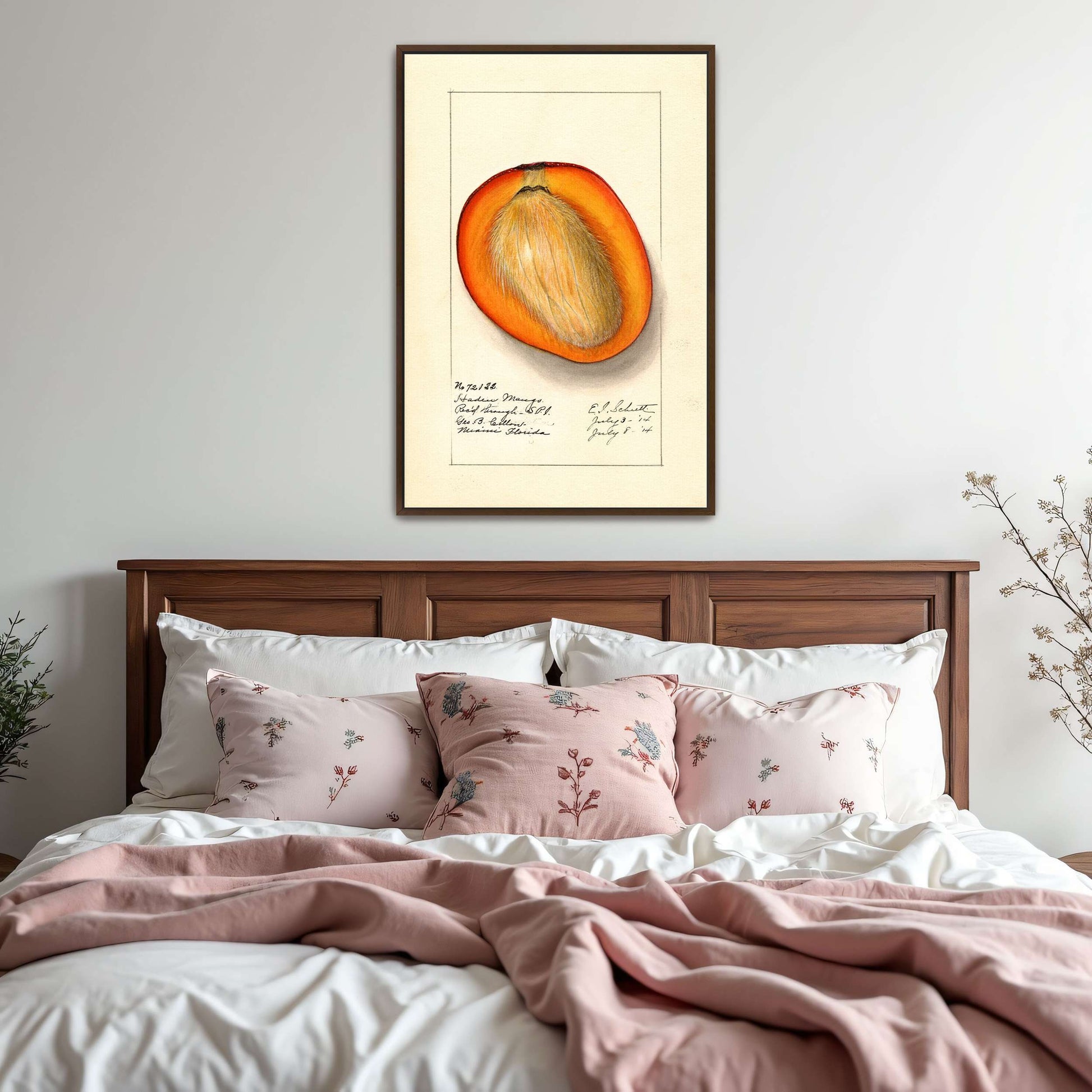 Haden Mango cross-section by Ellen Isham Schutt
