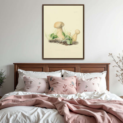 Mushrooms in grass illustration by Anna Maria Hussey