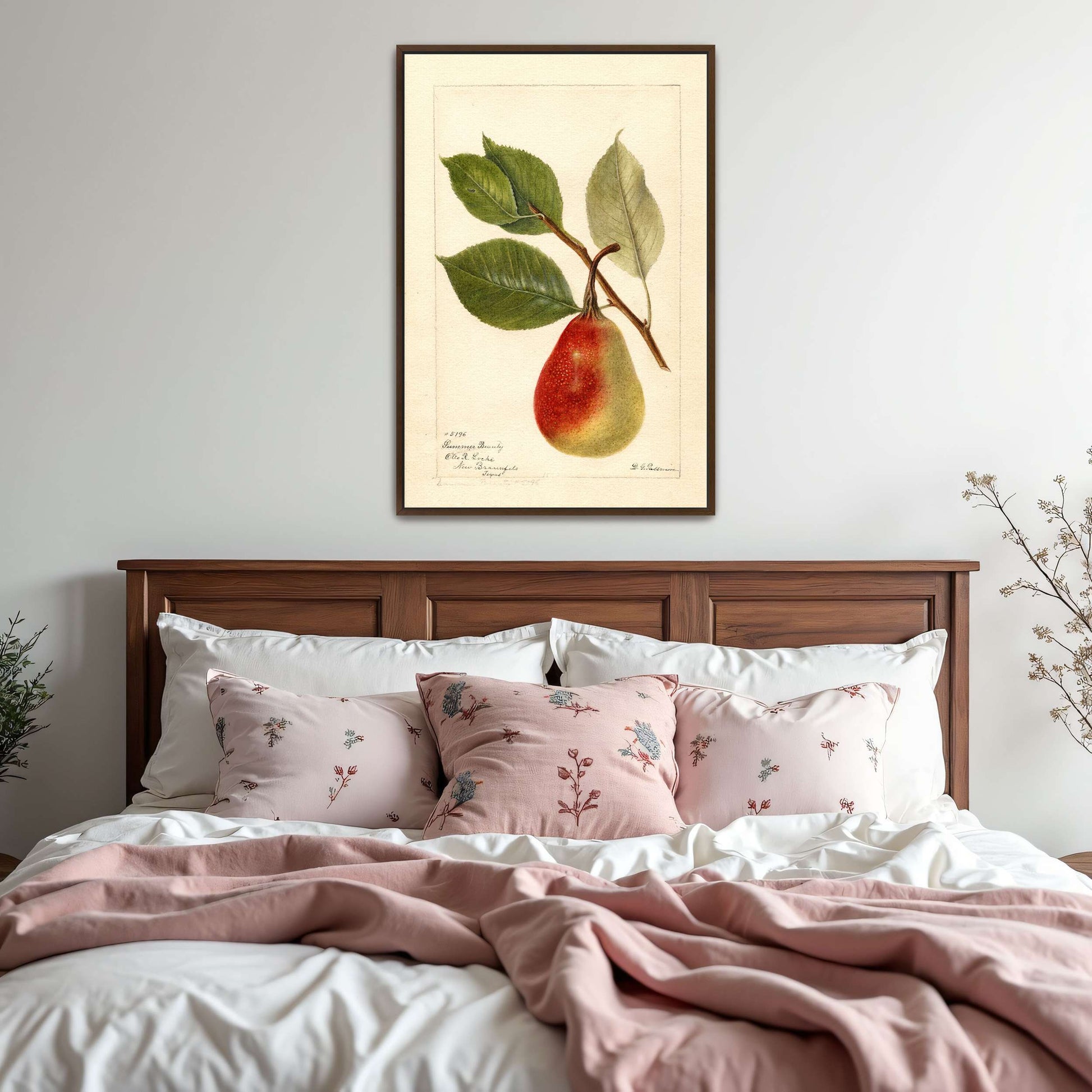 Summer Beauty pear watercolor by Deborah Griscom Passmore