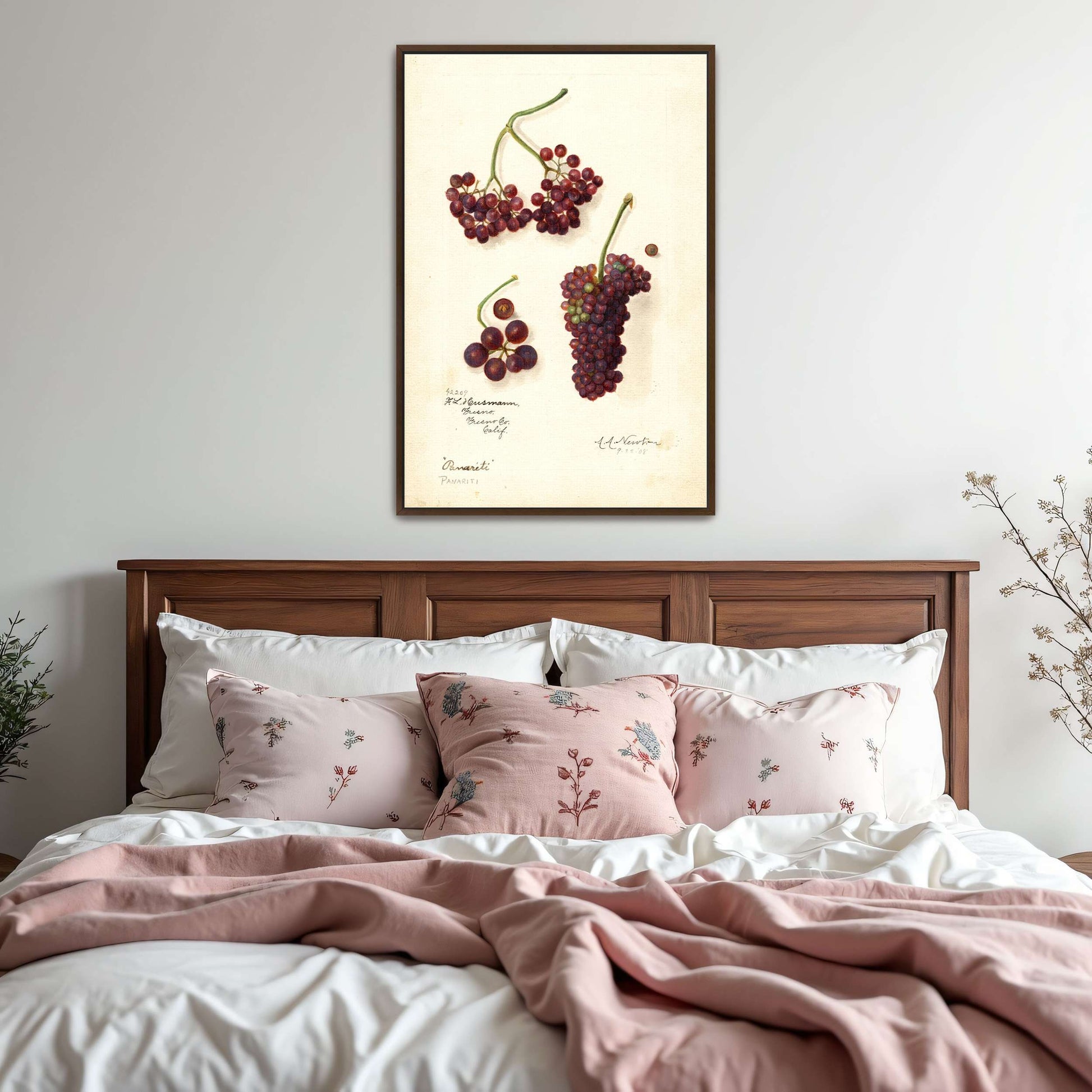Grape and berry watercolor by Amanda Almira Newton