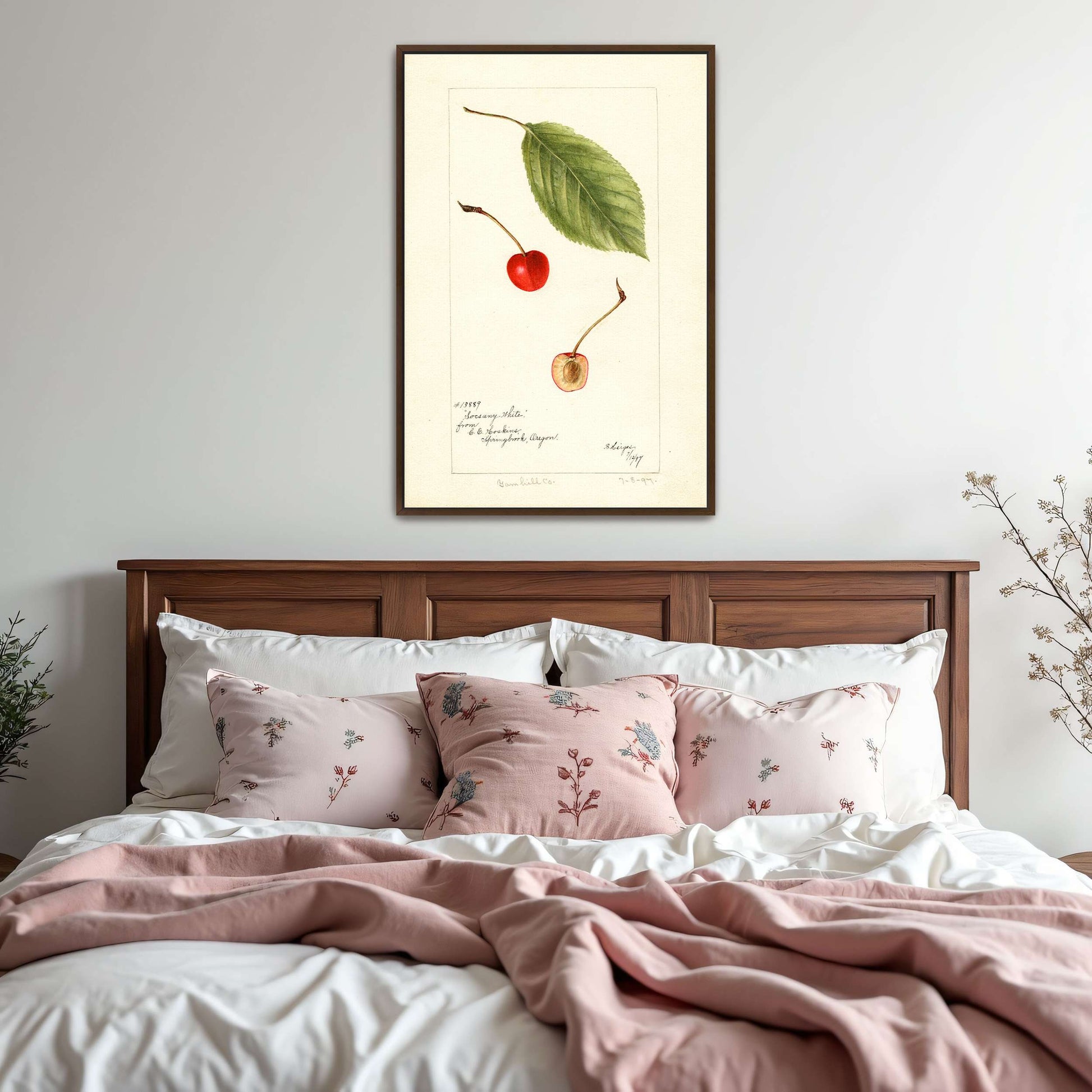 Cherry leaf and fruit watercolor by Bertha Heiges