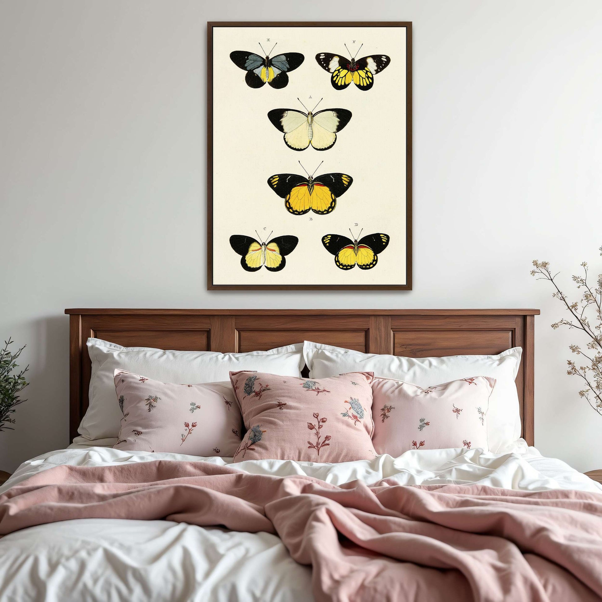 Five butterflies on white background by Pieter Cramer