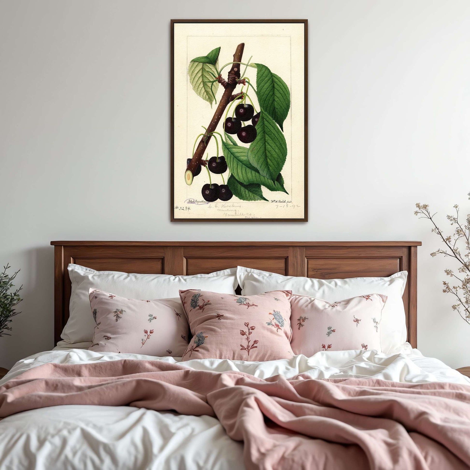 Black Republican Cherries by William Henry Prestele