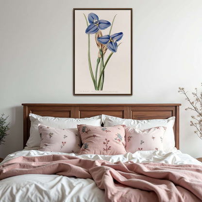 Blue flowers botanical illustration by Sydenham Edwards