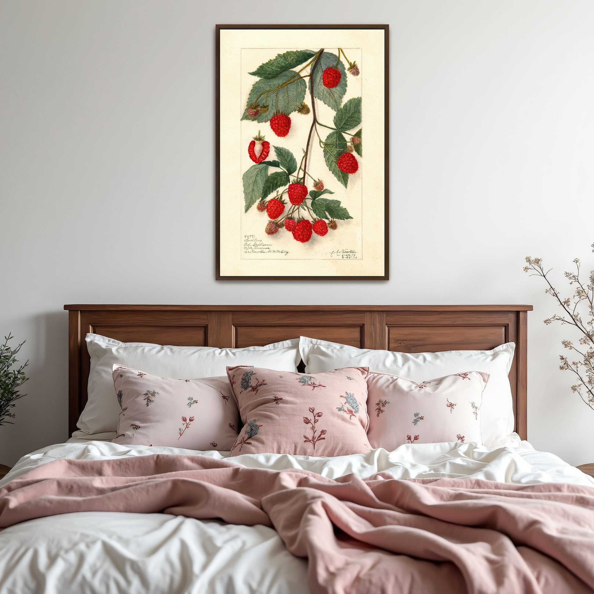 Watercolor Painting Of Raspberries On Branch By Amanda Almira Newton