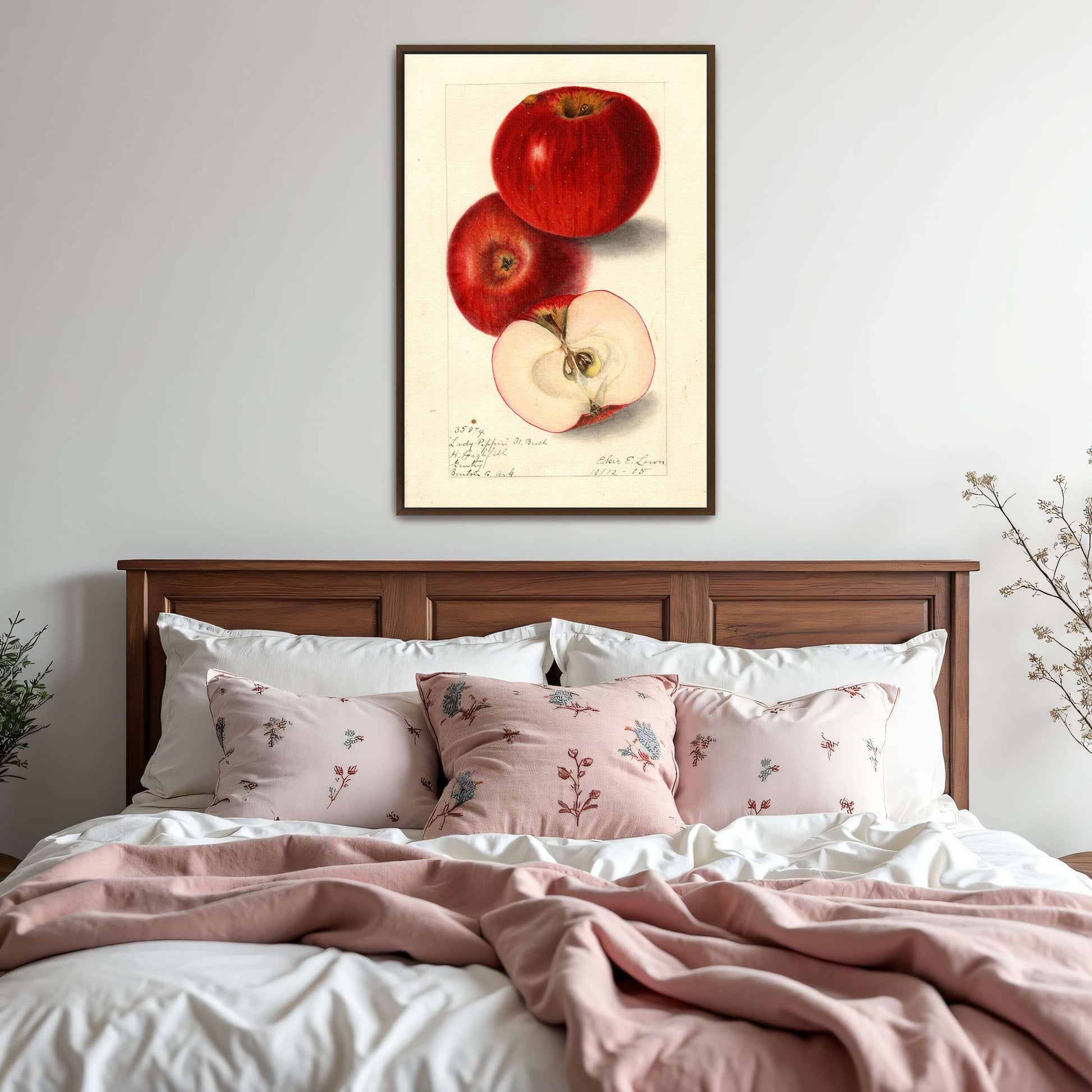 Three red apples, watercolor painting by Elsie E. Lower