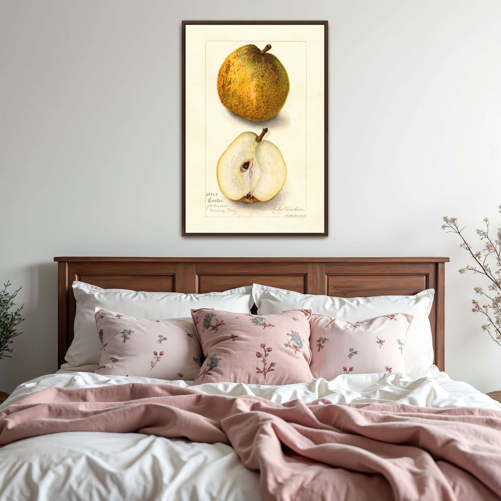 Watercolor painting of pears by Amanda Almira Newton