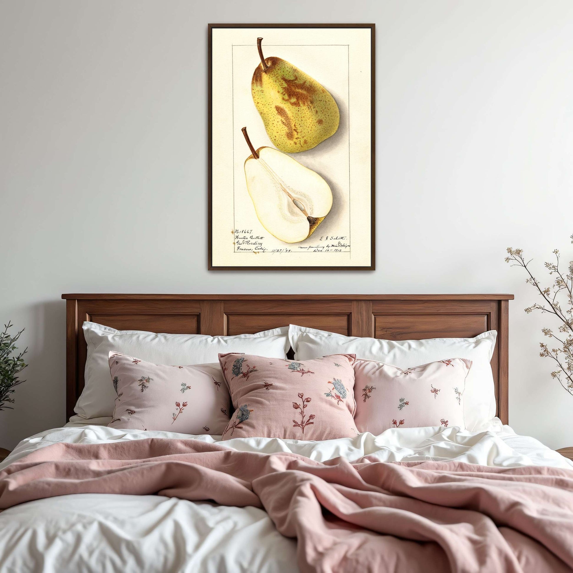 Watercolor pear painting by Ellen Isham Schutt