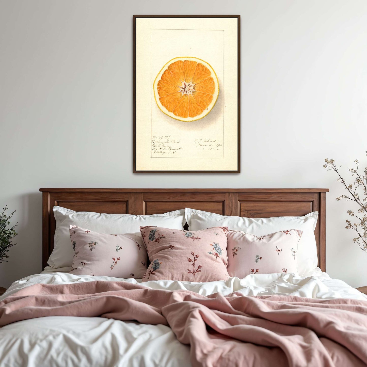 Orange cross-section watercolor by Ellen Isham Schutt