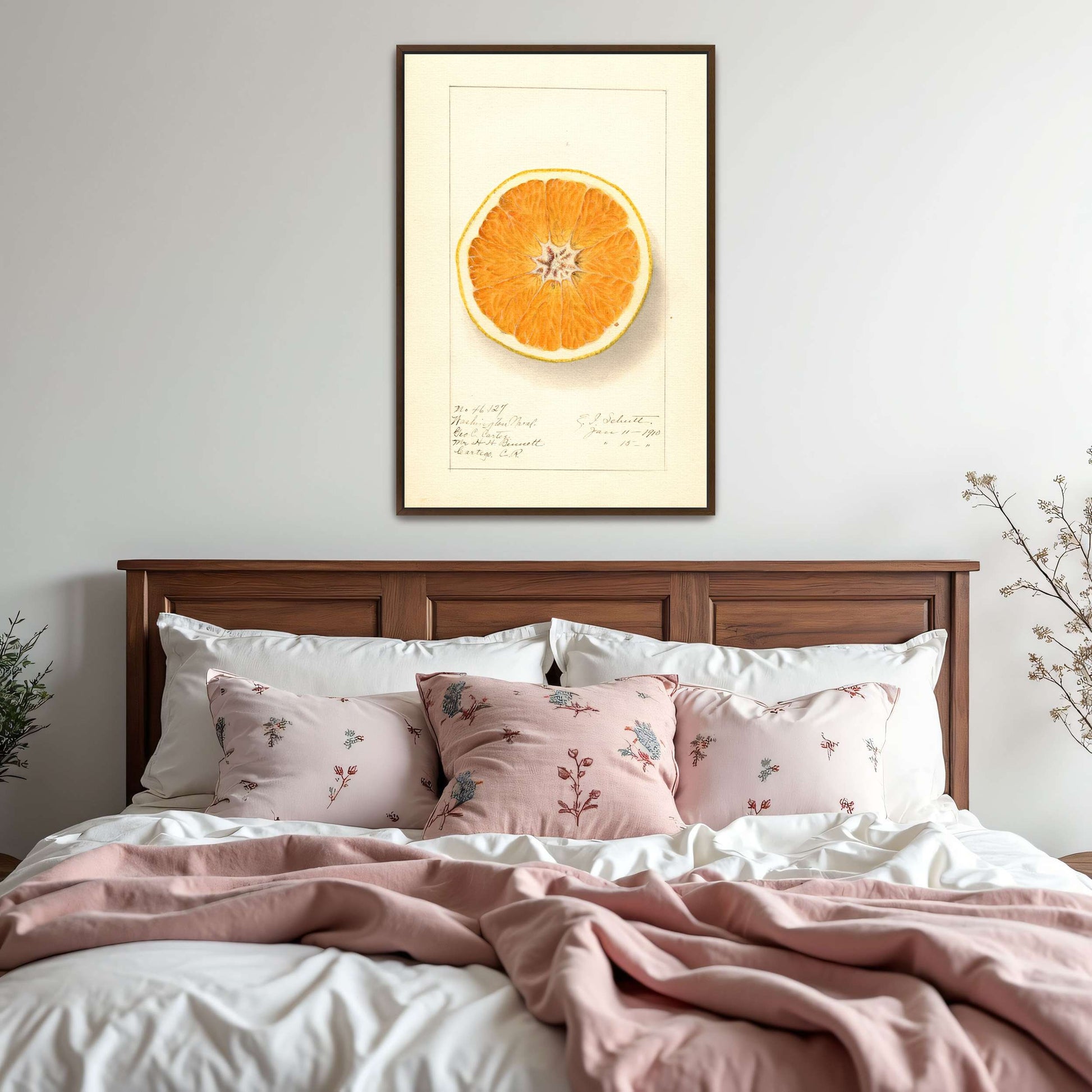 Orange cross-section watercolor by Ellen Isham Schutt