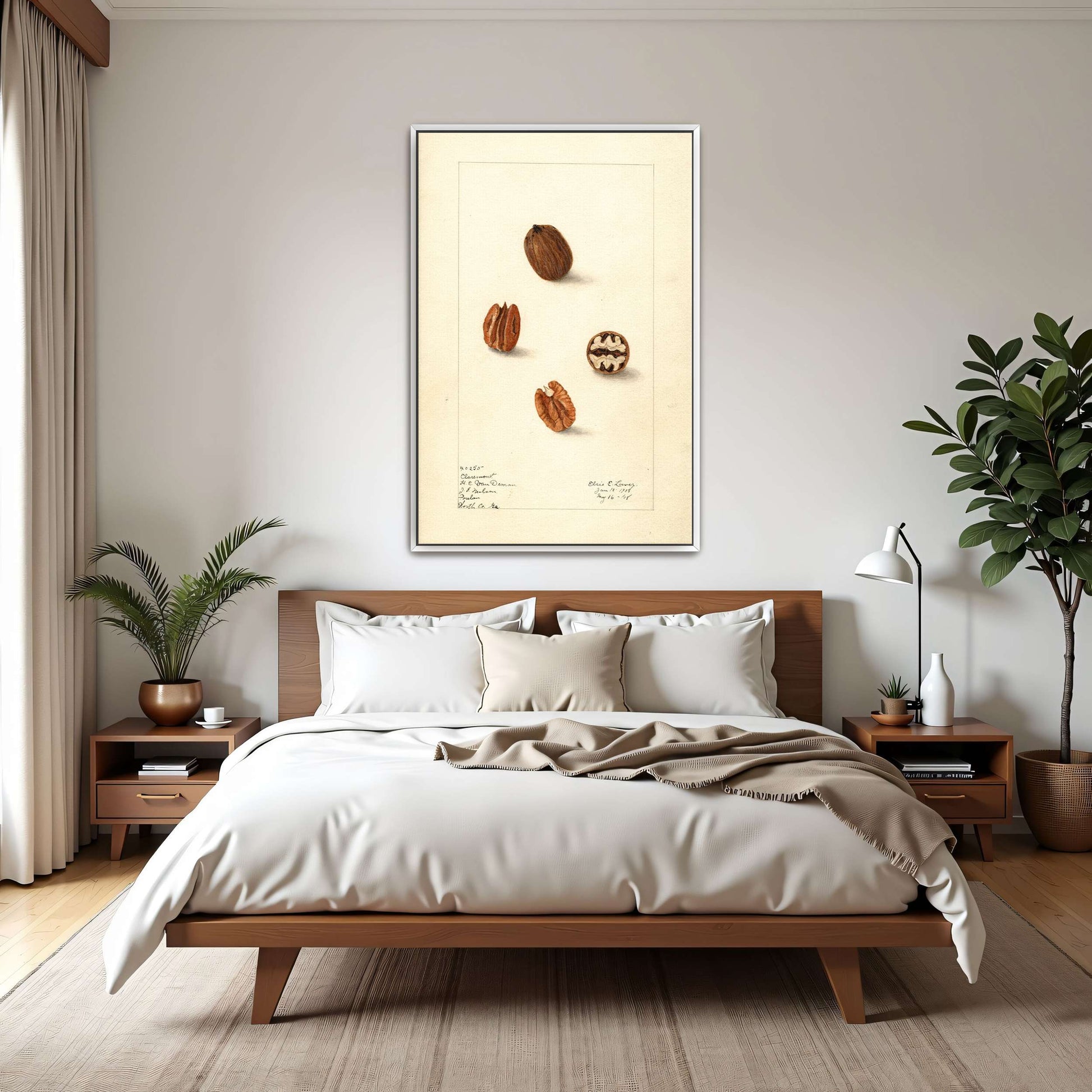 Pecans watercolor painting by Elsie E. Lower