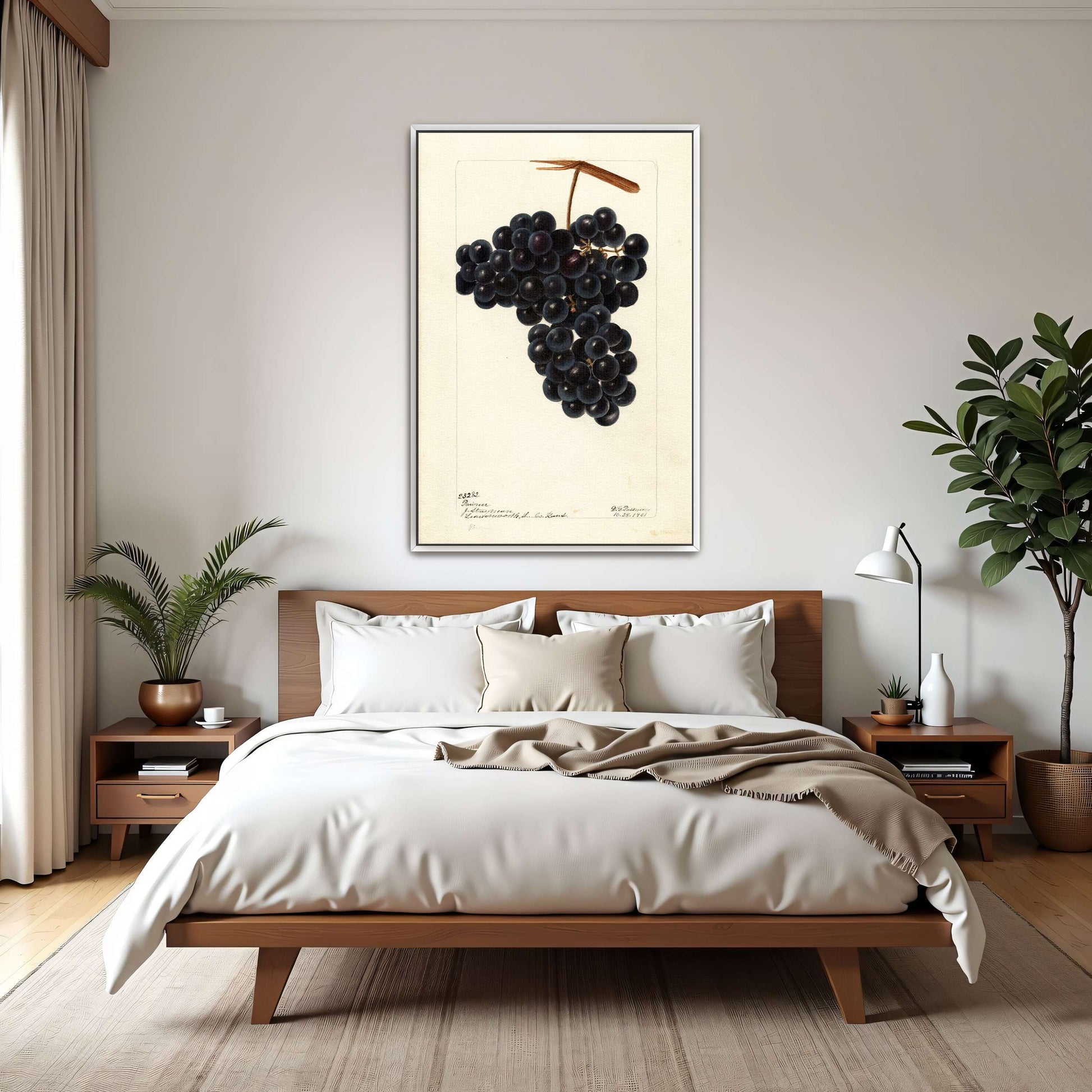 Dark Grapes on Vine by Deborah Griscom Passmore