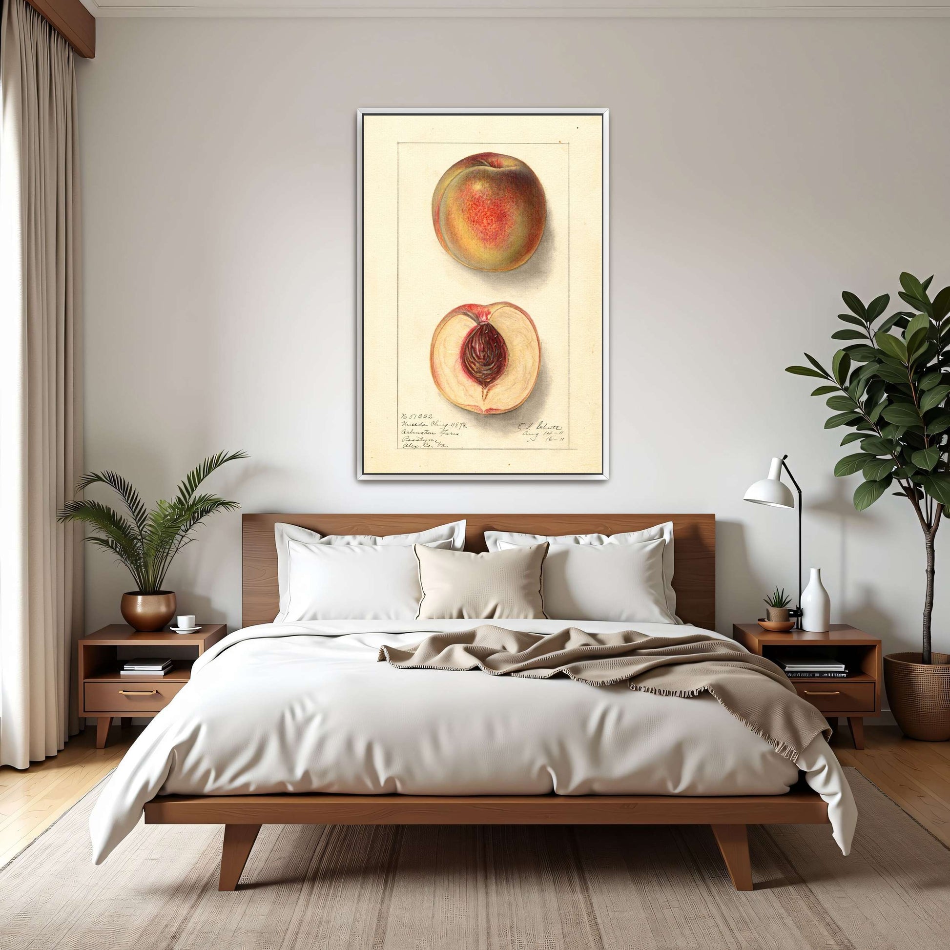 Peach Watercolor Painting by Ellen Isham Schutt