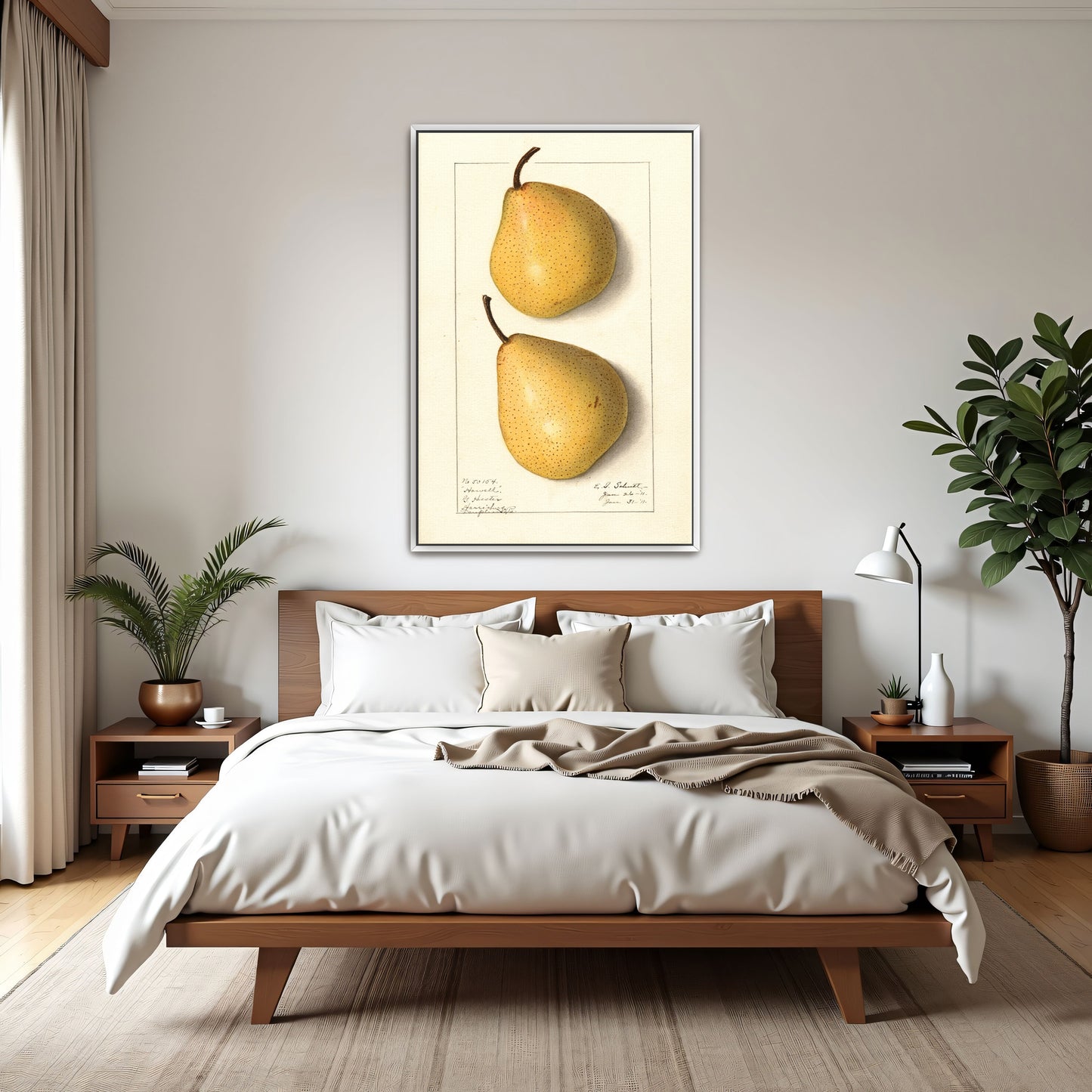 Howell Pear Watercolor Botanical Illustration By Ellen Isham Schutt