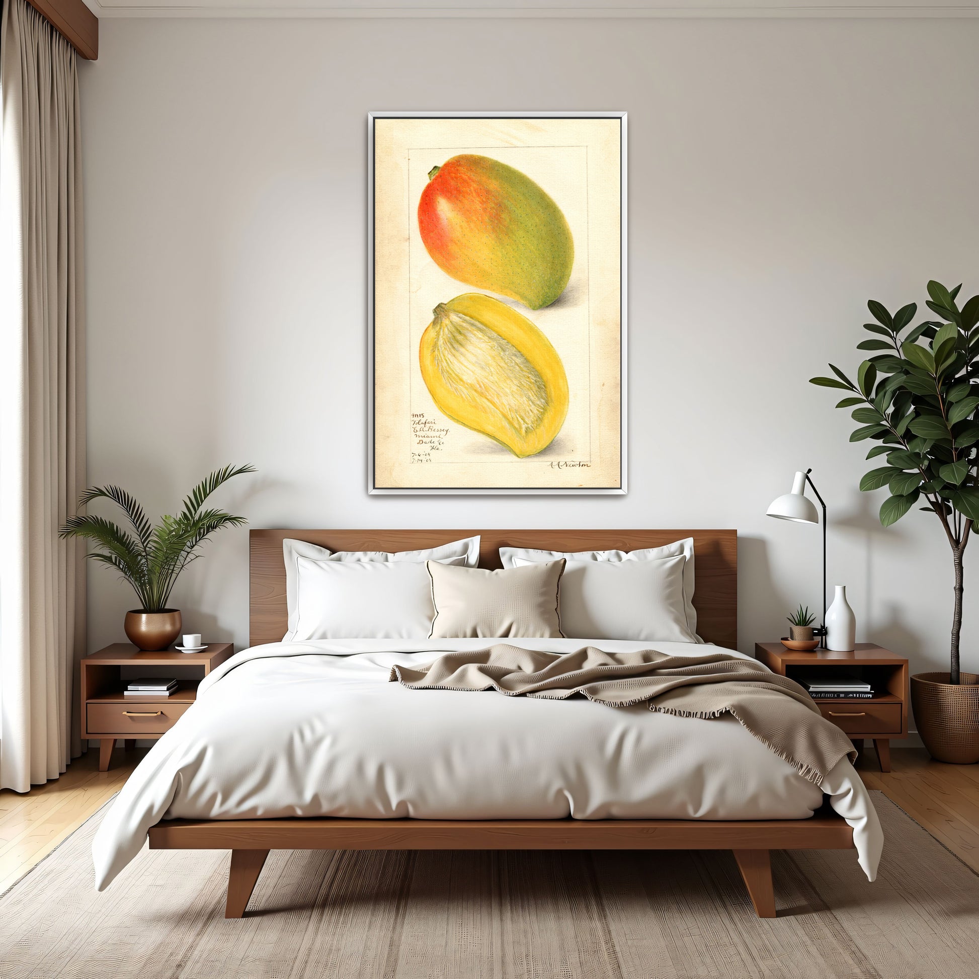 Watercolor Painting Of Two Mangoes By Amanda Almira Newton