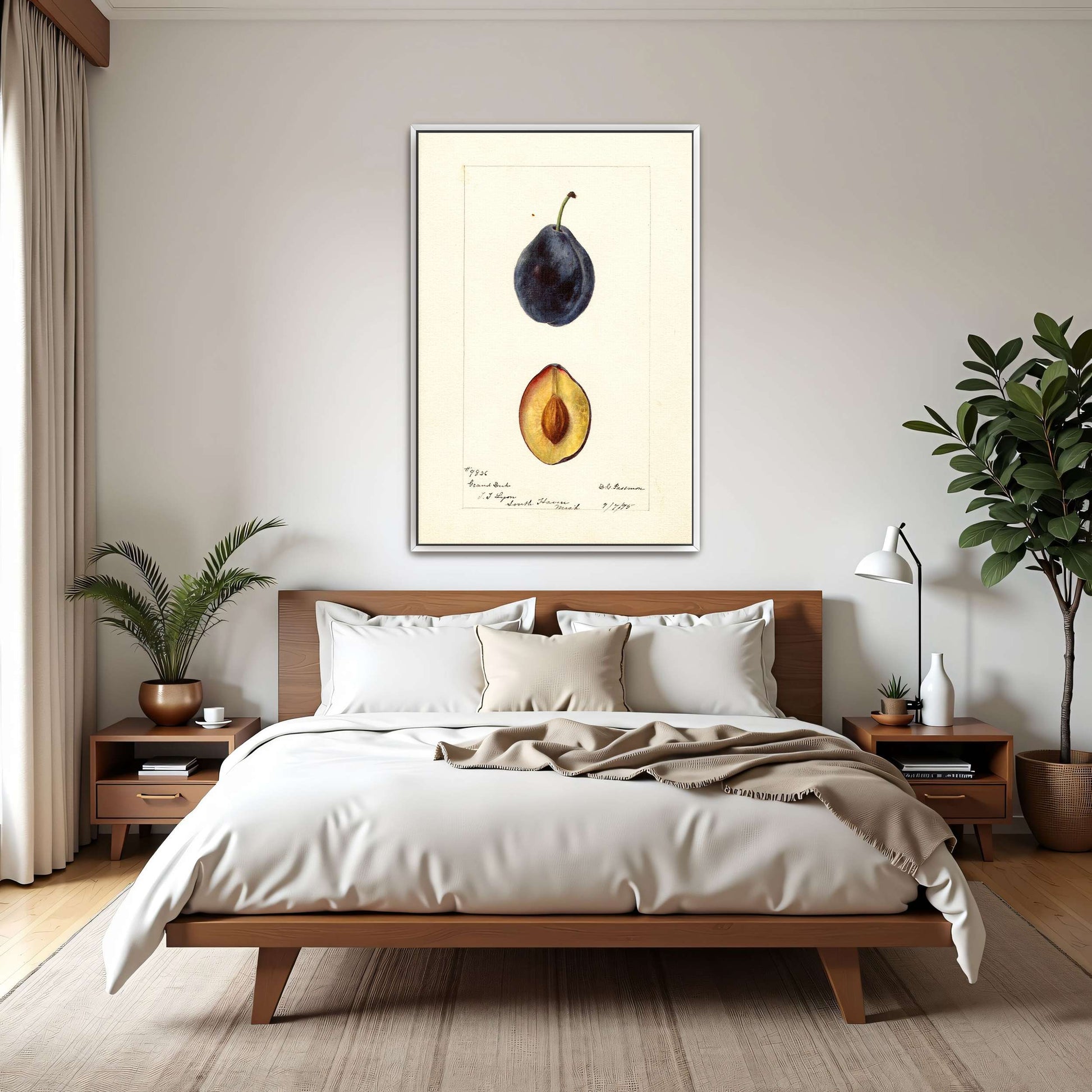 Plum watercolor painting by Deborah Griscom Passmore