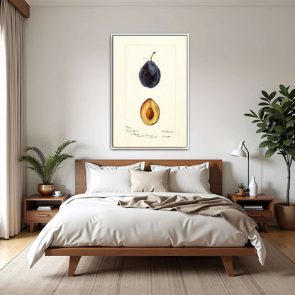 Plum watercolor painting by Deborah Griscom Passmore