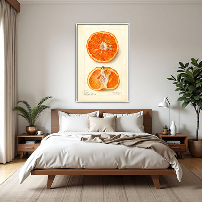 King Citrus Fruit Watercolor Illustration By Elsie E. Lower