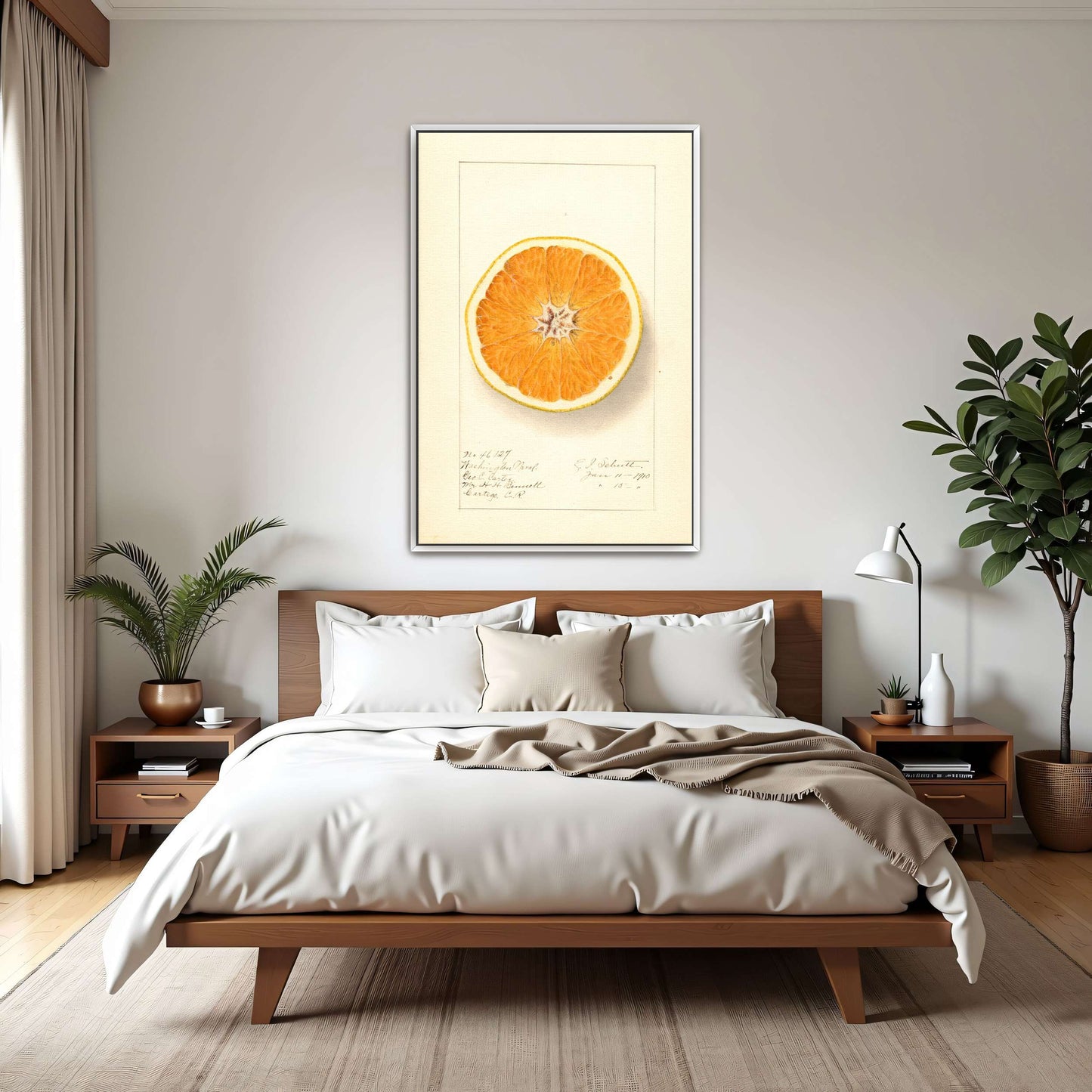 Orange cross-section watercolor by Ellen Isham Schutt