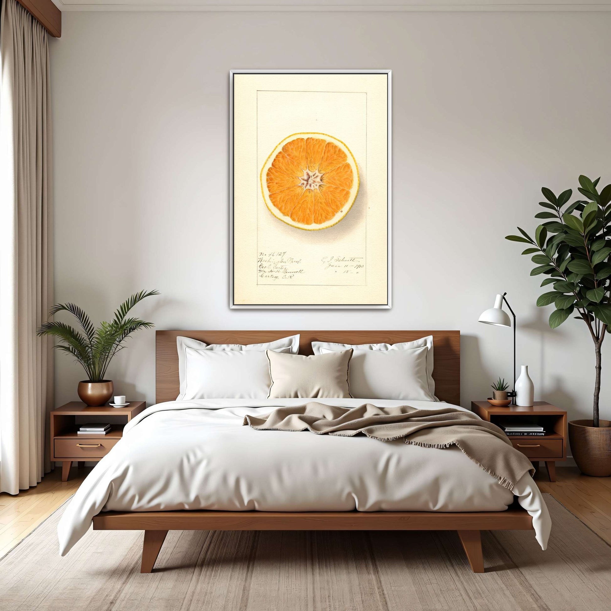 Orange cross-section watercolor by Ellen Isham Schutt
