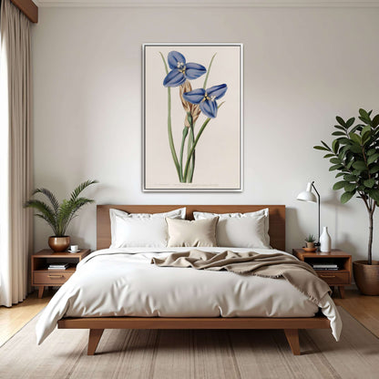 Blue flowers botanical illustration by Sydenham Edwards
