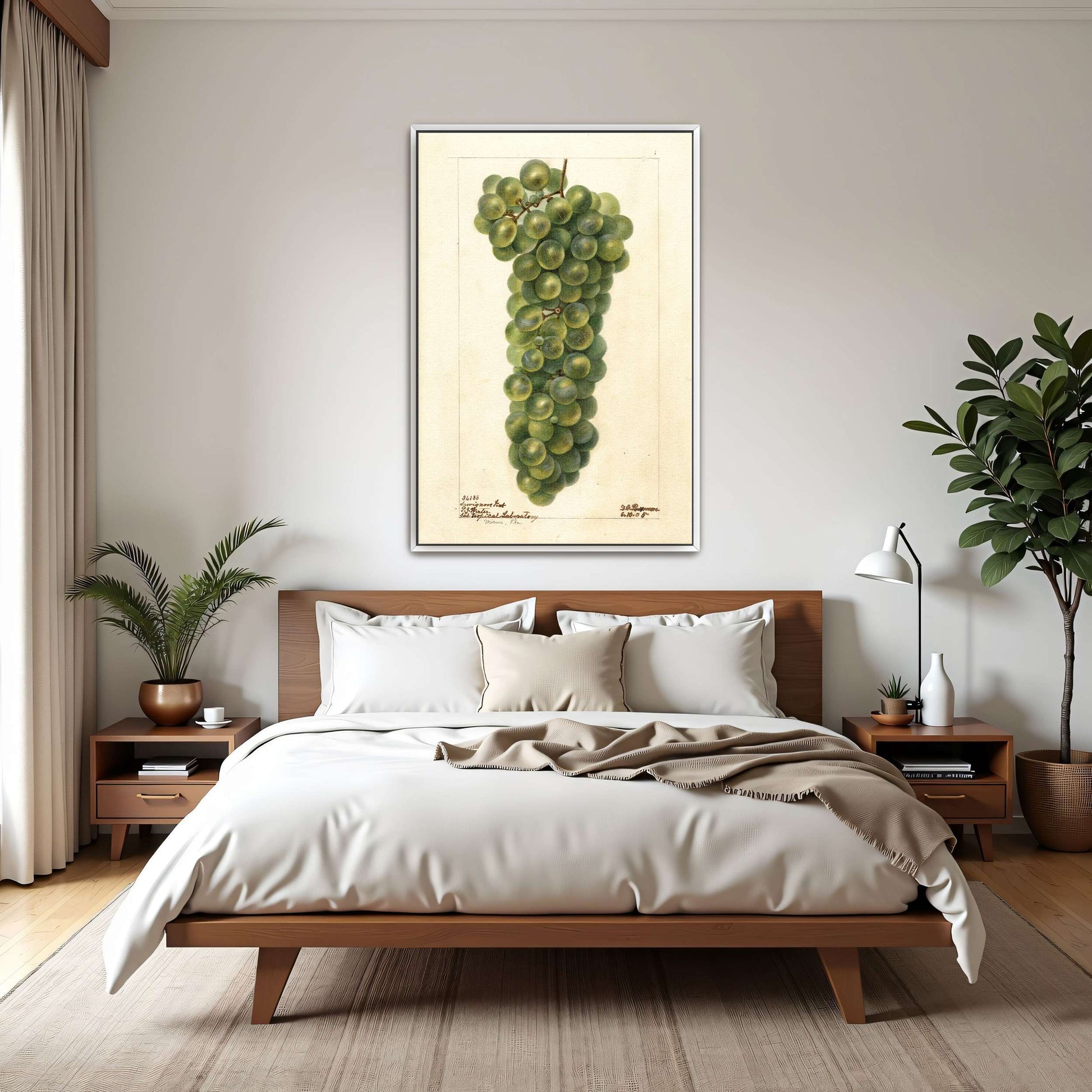 Green grape cluster watercolor by Deborah Griscom Passmore