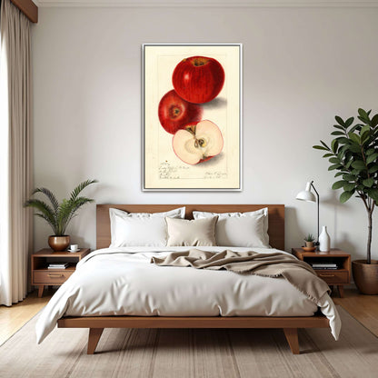 Three red apples, watercolor painting by Elsie E. Lower