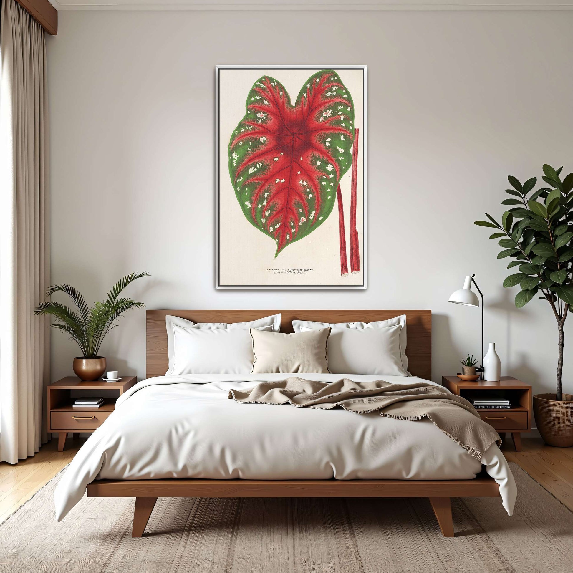 Caladium leaf botanical illustration by Charles Antoine Lemaire