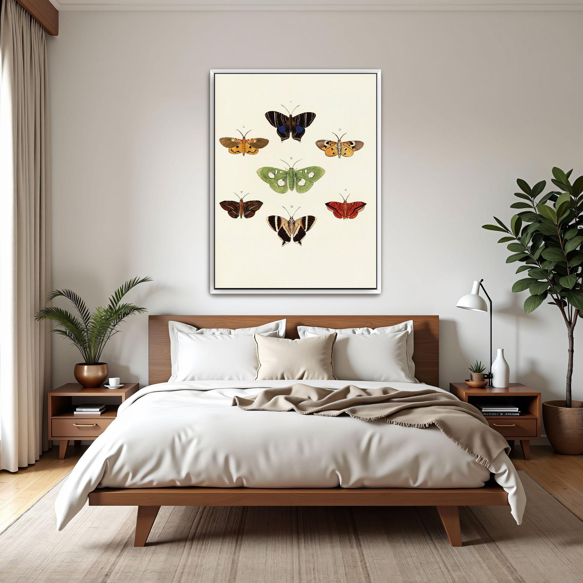 Exotic Butterflies Illustration By Pieter Cramer