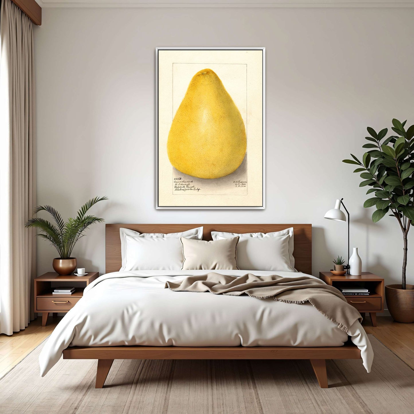 Watercolor of a pomelo by Amanda Almira Newton