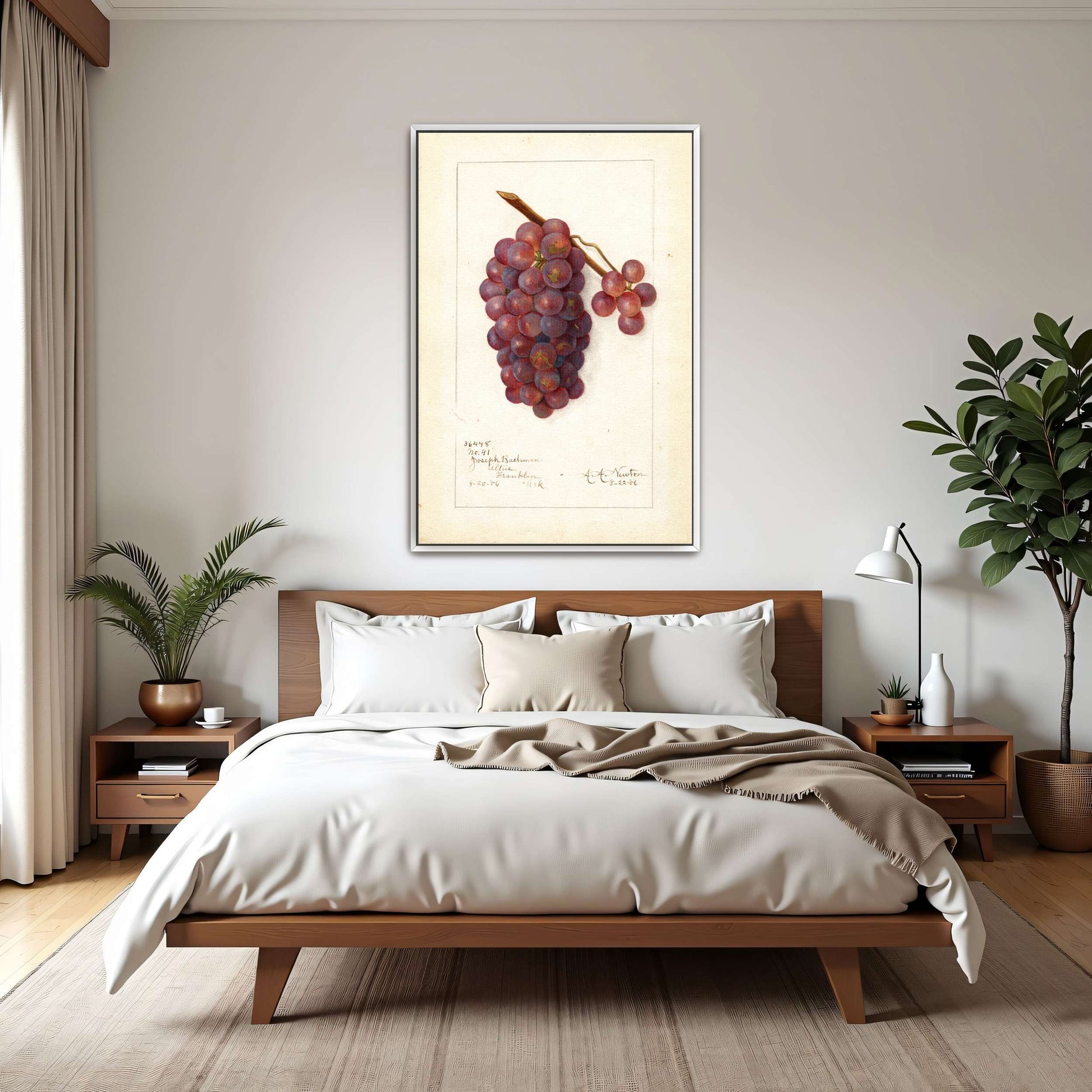 Watercolor painting of grapes by Amanda Almira Newton