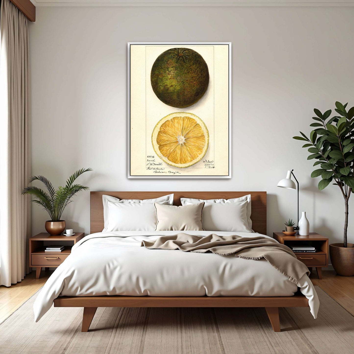 Watercolor painting of a citrus fruit by Mary Daisy Arnold