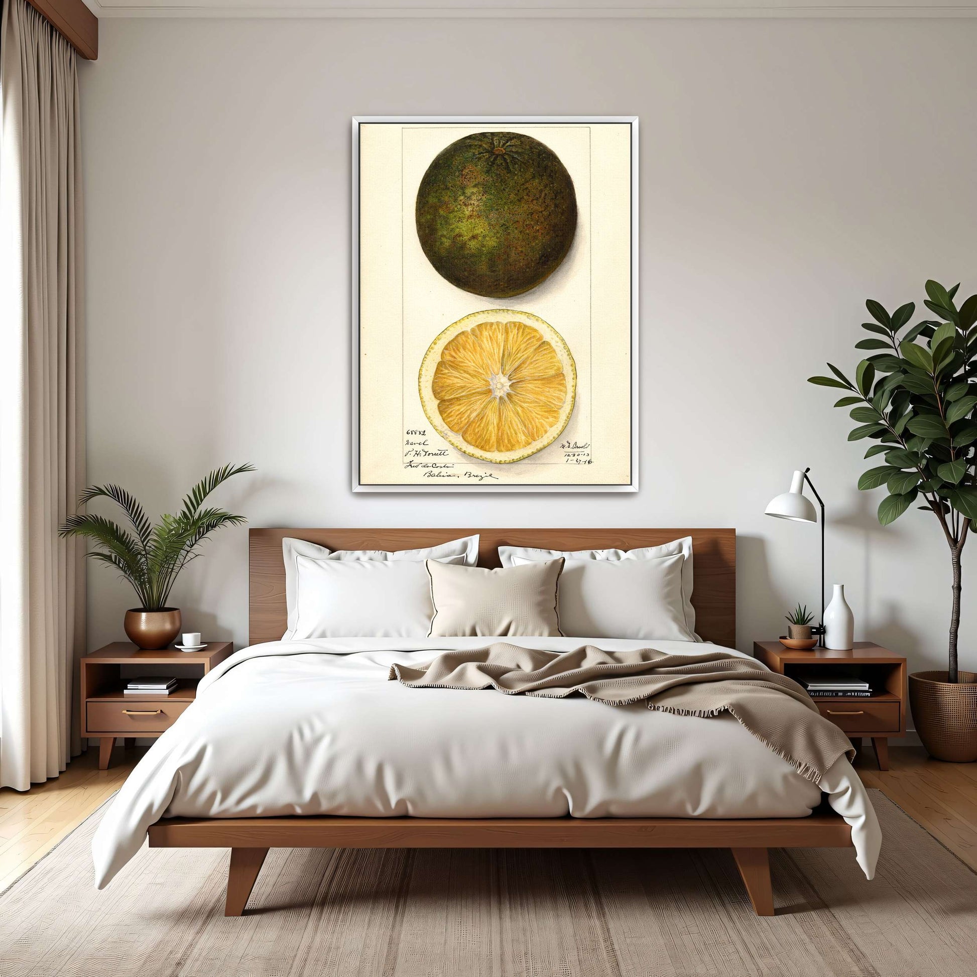 Watercolor painting of a citrus fruit by Mary Daisy Arnold