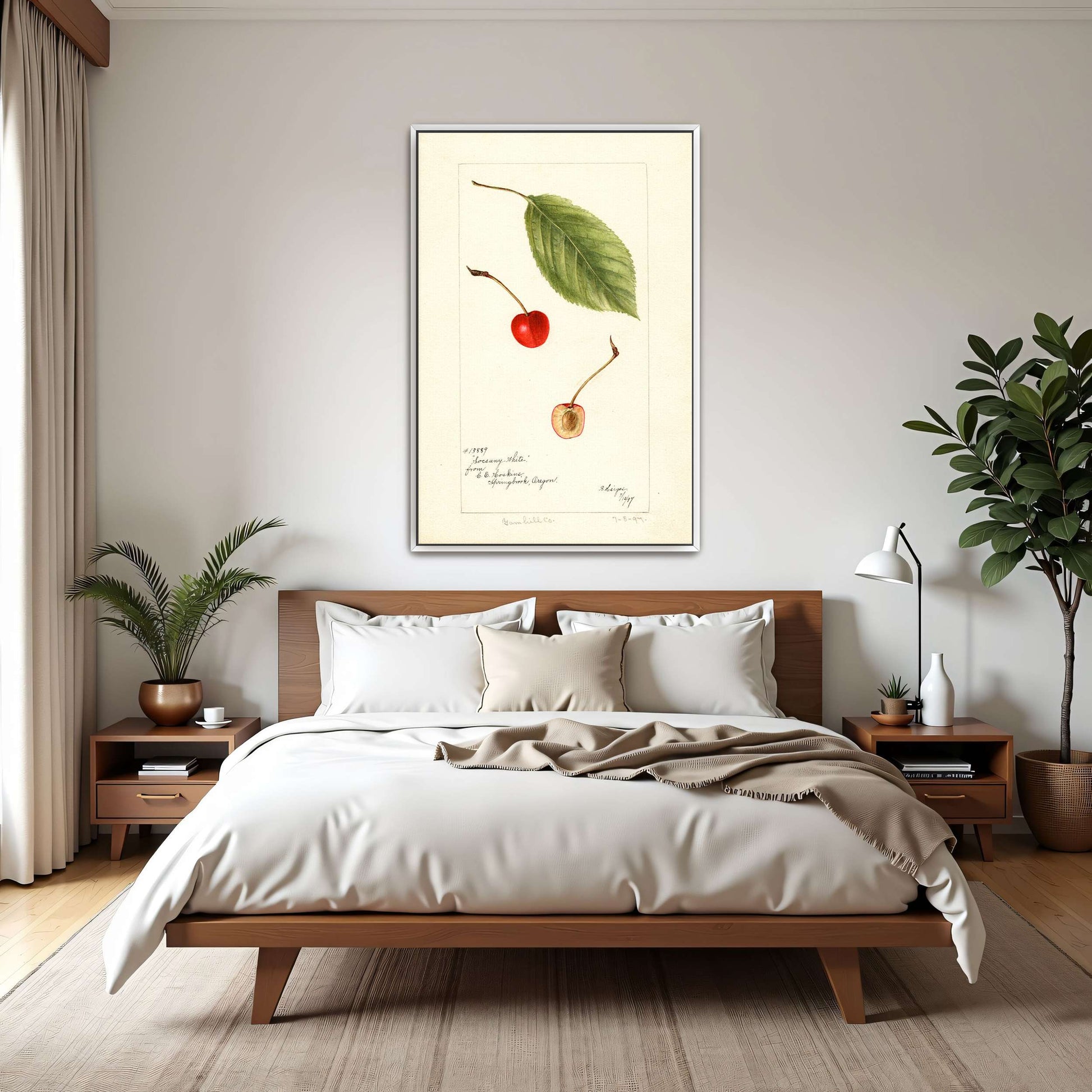 Cherry leaf and fruit watercolor by Bertha Heiges