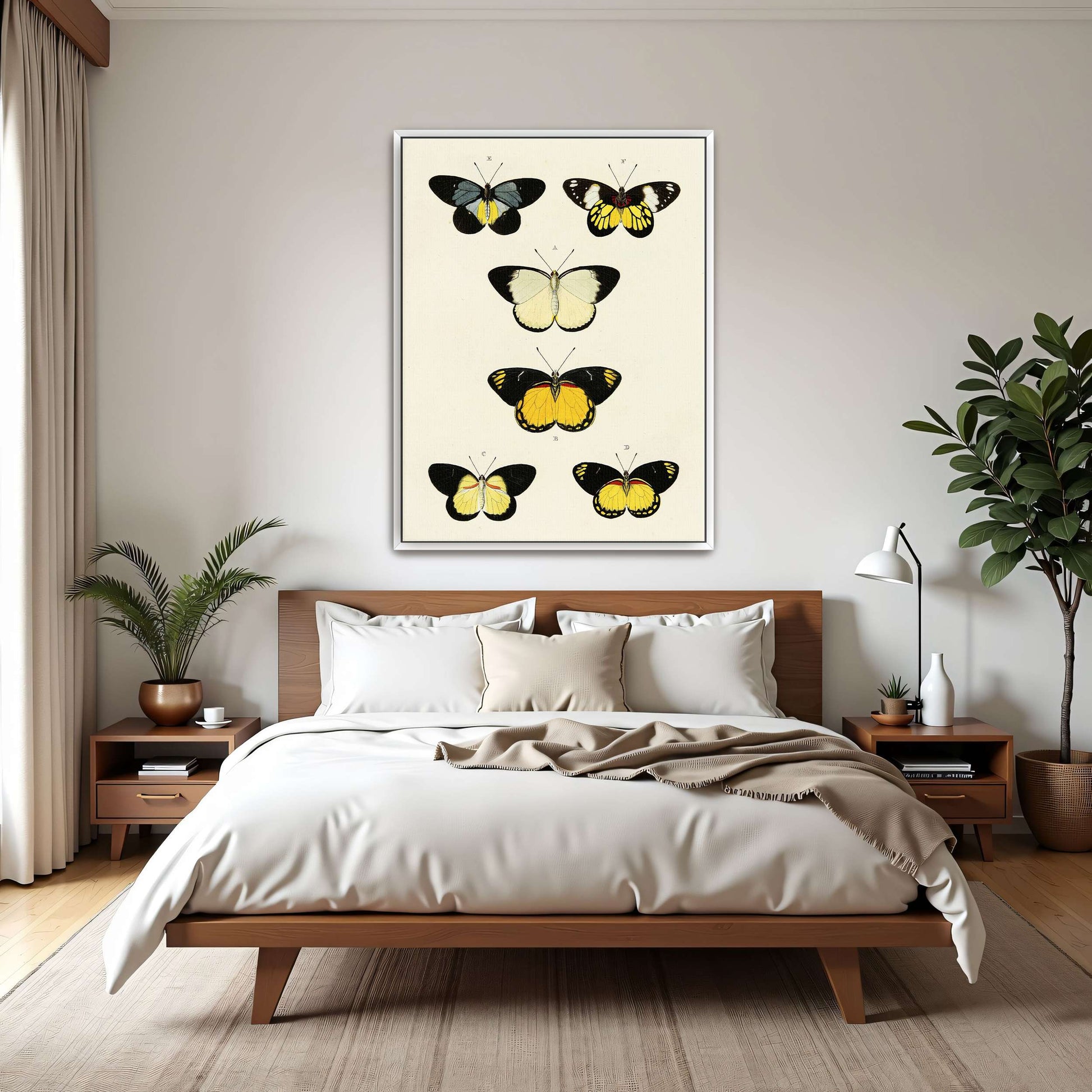 Five butterflies on white background by Pieter Cramer
