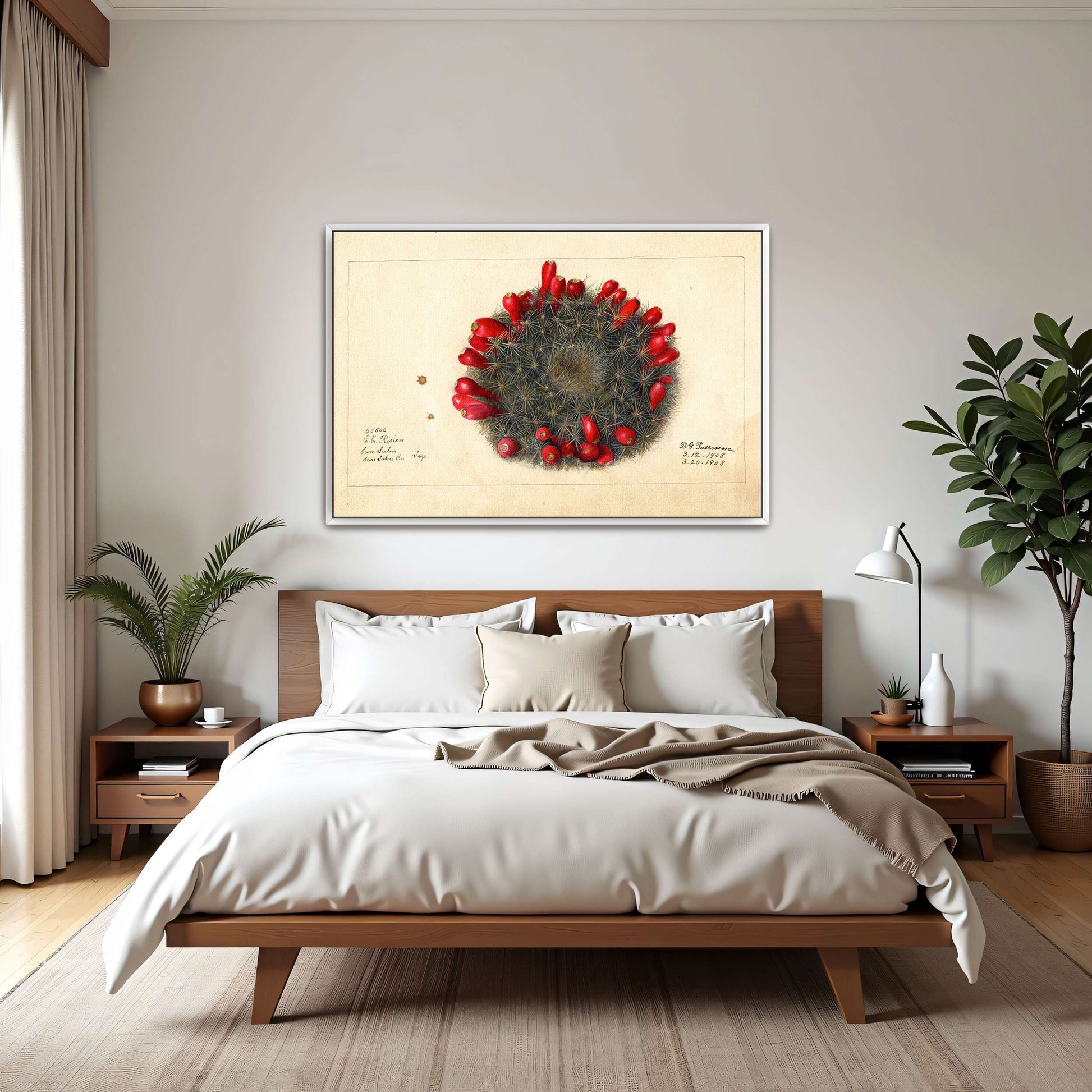 Cactus with red flowers by Deborah Griscom Passmore